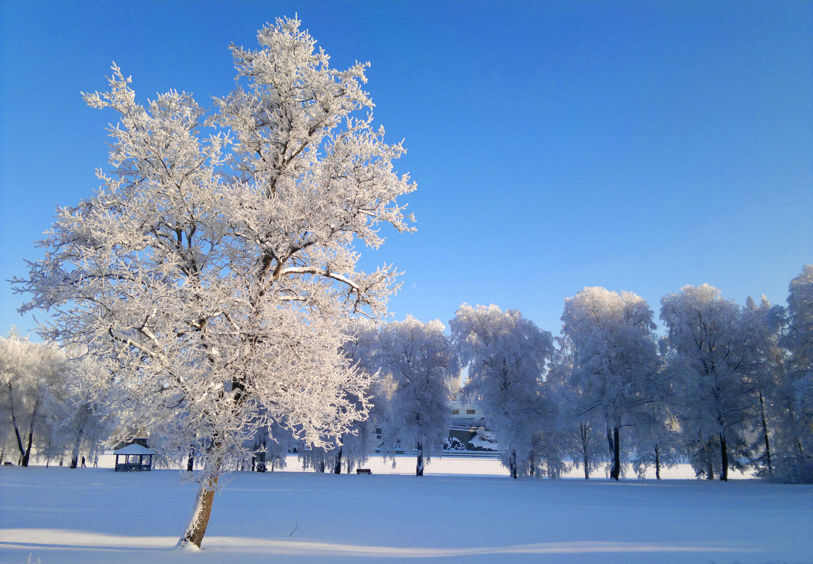 Nokia N8-00 sample photo. Finland, freeze, frost, january photography