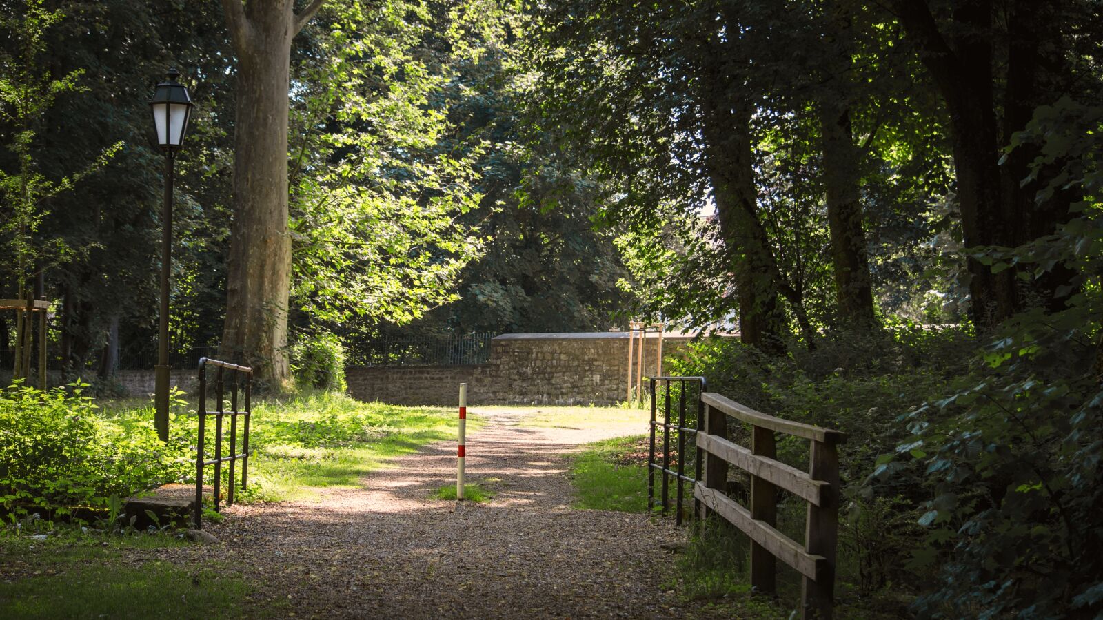 Nikon D5100 sample photo. Park, nature, away photography