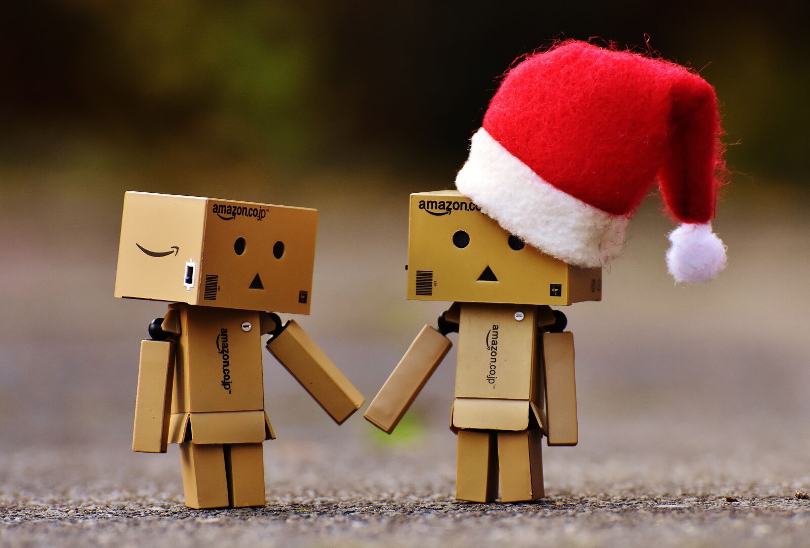 Nikon D7200 sample photo. Danbo, christmas, figure photography