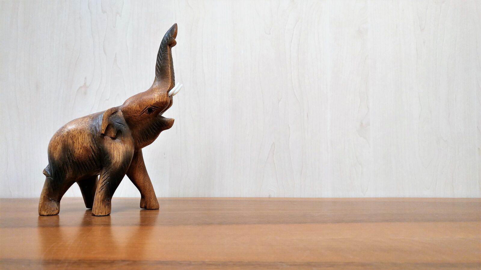 LG G5 sample photo. Elephant, wood, indian photography