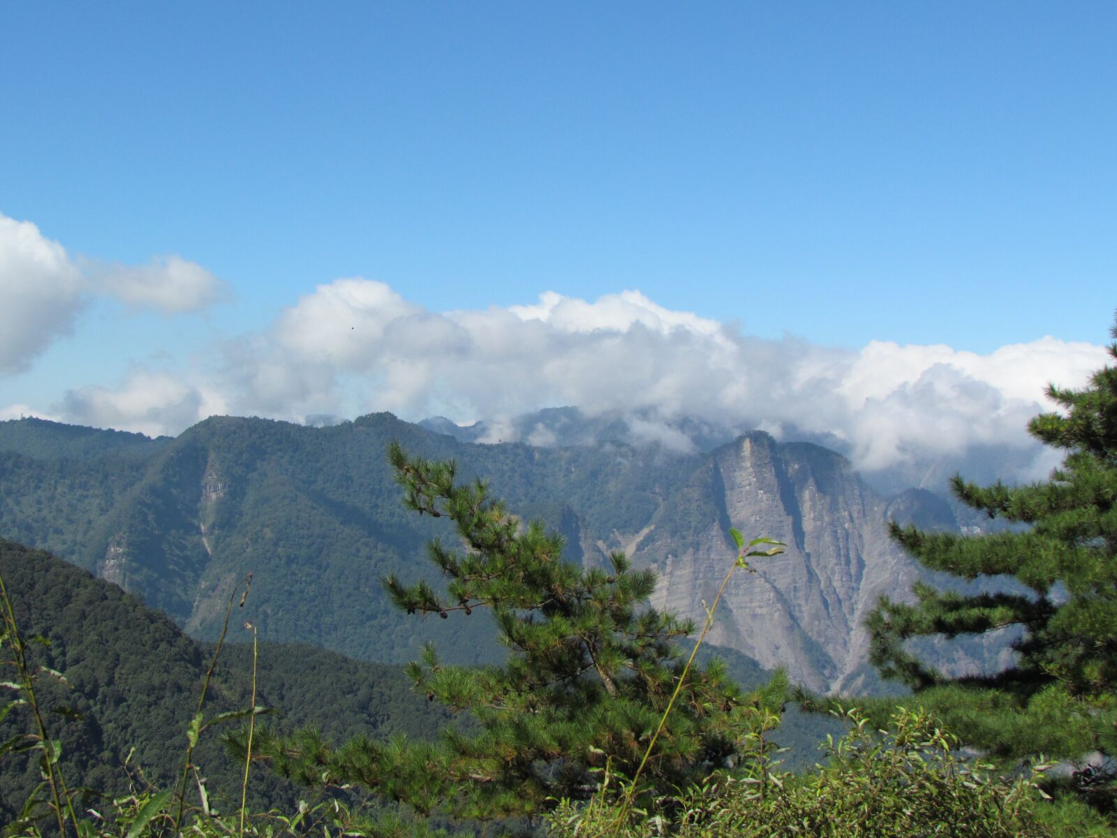 Canon PowerShot SX30 IS sample photo. Alishan national park, aoyama photography