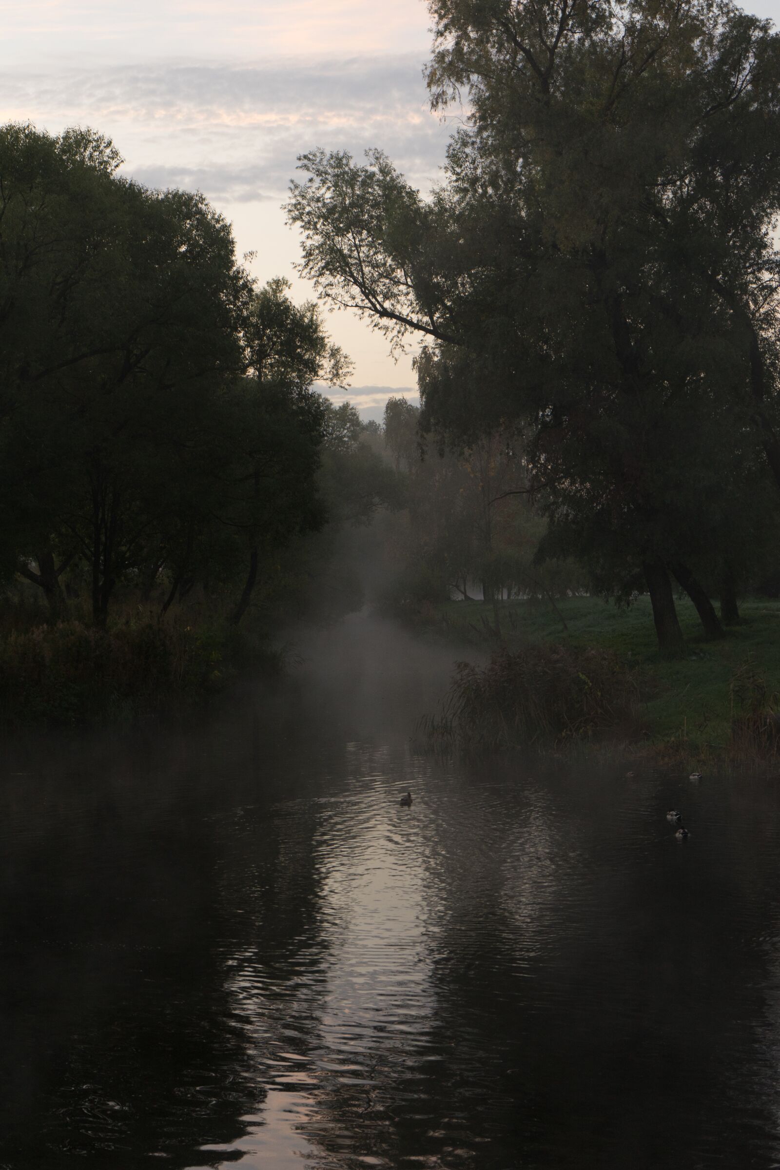 Sony a7 II sample photo. Fog, channel, river photography