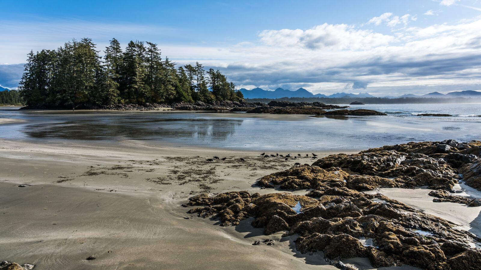 Sony FE 24-105mm F4 G OSS sample photo. Beach, tofino, vancouver island photography