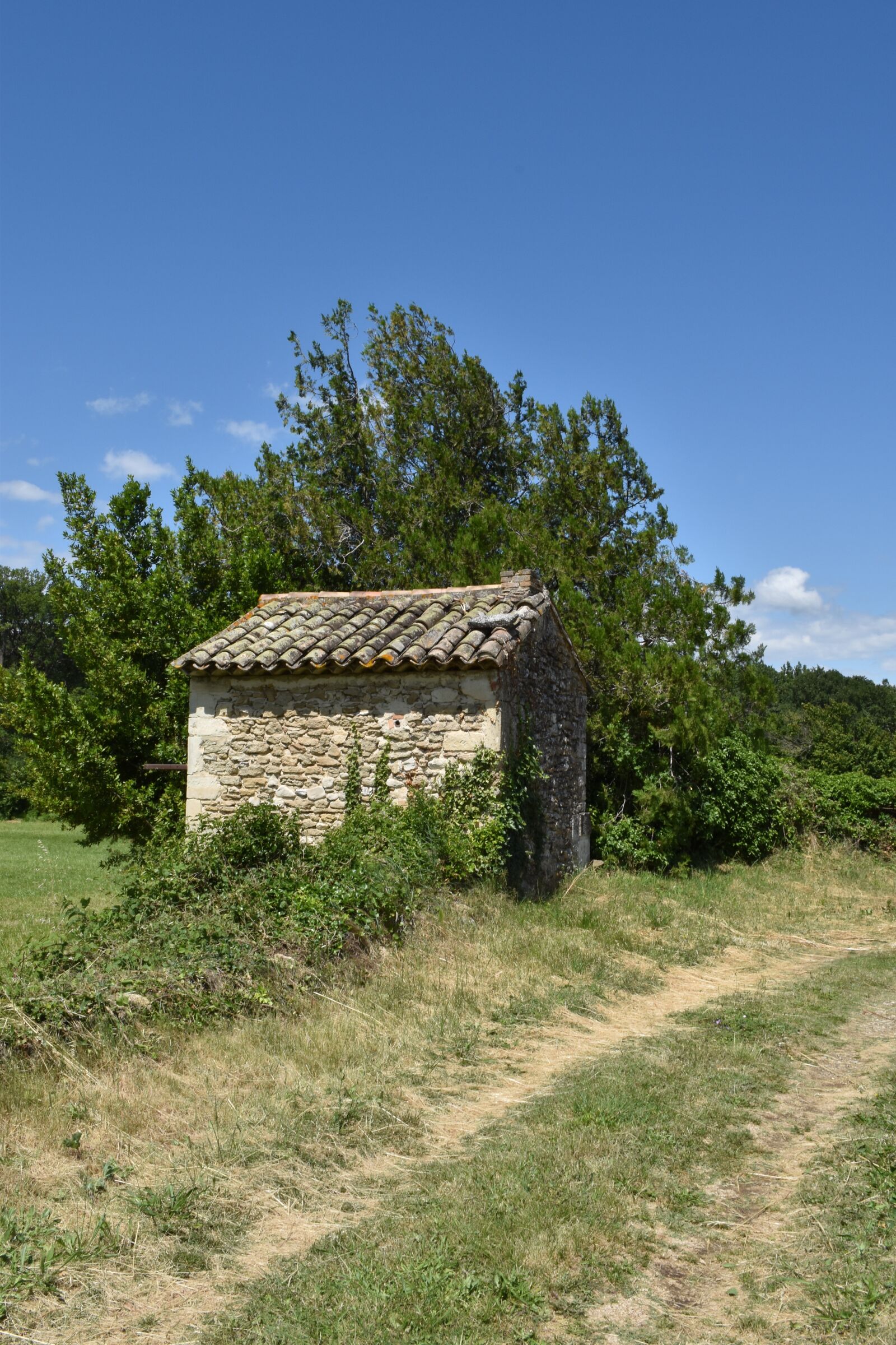 Nikon D5500 sample photo. Shed, house, field photography