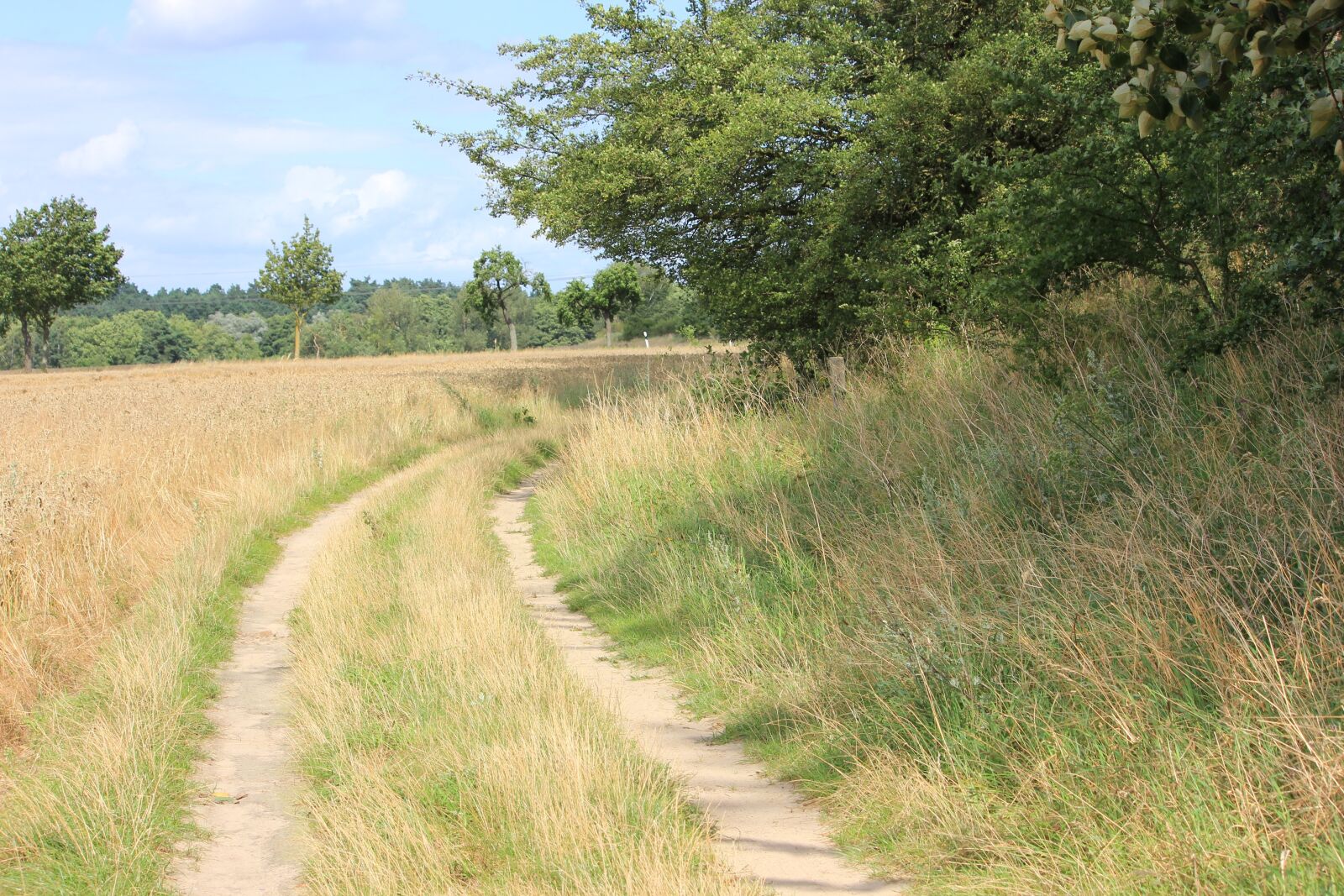 Canon EOS 550D (EOS Rebel T2i / EOS Kiss X4) sample photo. Lane, heat, summer photography