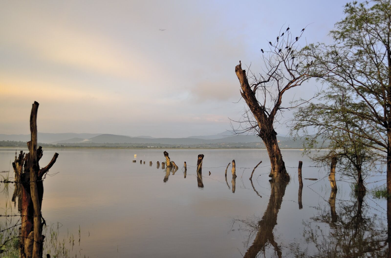 Nikon D3100 sample photo. Dawn, water, laguna photography