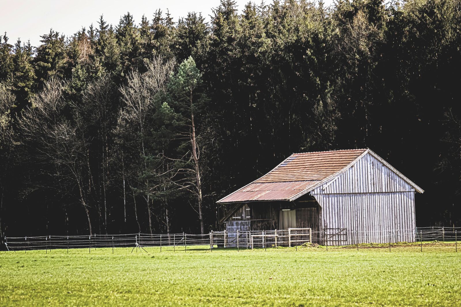 Nikon D3200 sample photo. Hut, wood, nature photography