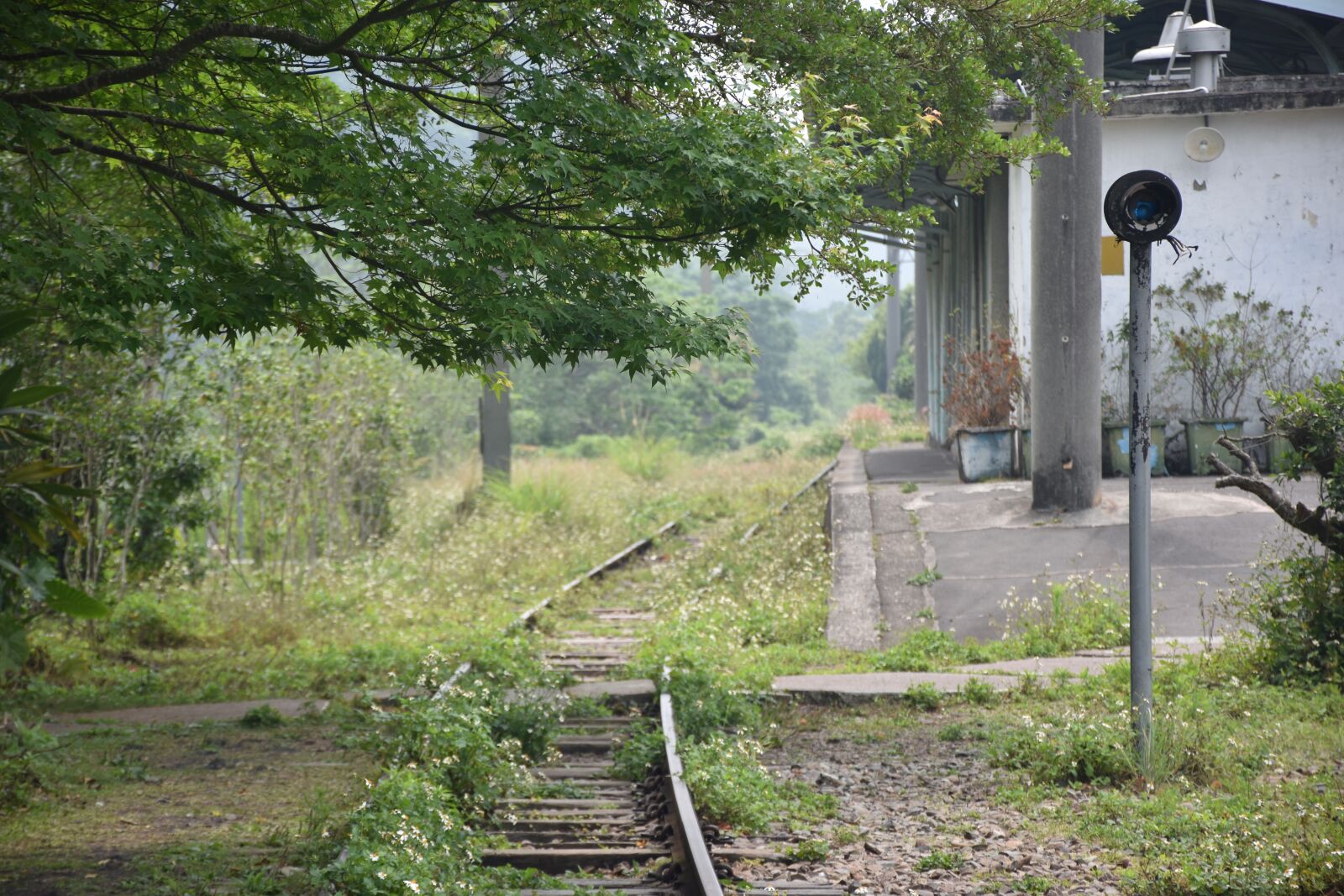 Nikon D5600 sample photo. Taian train station, trains photography