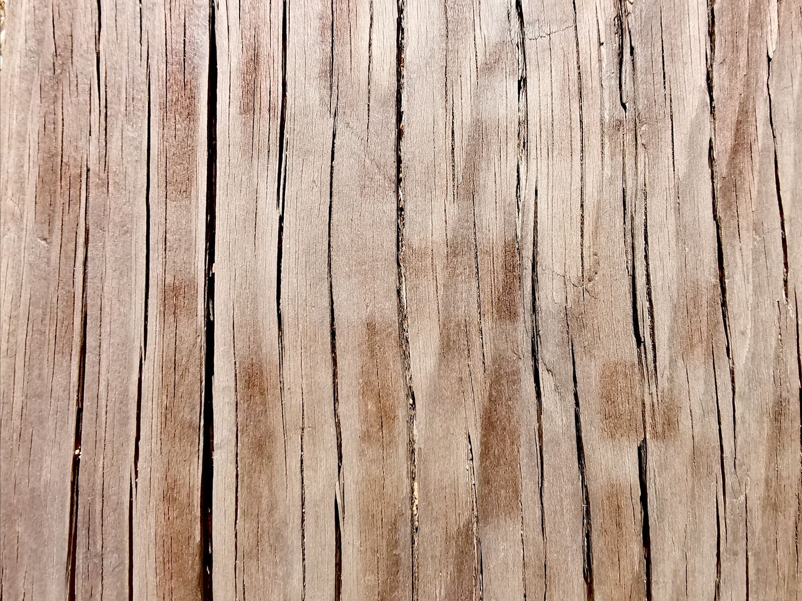 HUAWEI LYA-L29 sample photo. Wood, texture, structure photography