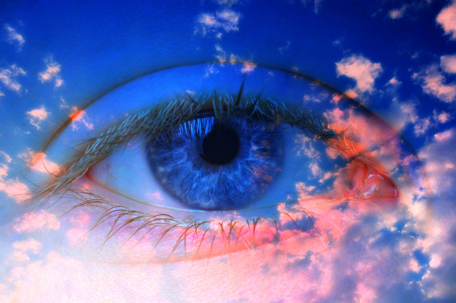 Nikon D90 sample photo. Eye, iris, pupil photography