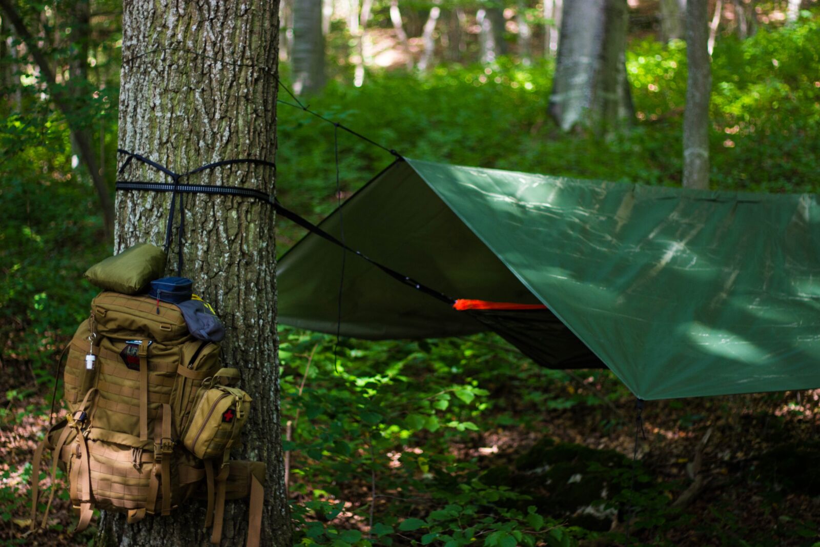 Canon EOS 600D (Rebel EOS T3i / EOS Kiss X5) + Canon EF 50mm F1.8 II sample photo. Outdoor, hammock, bushcraft photography