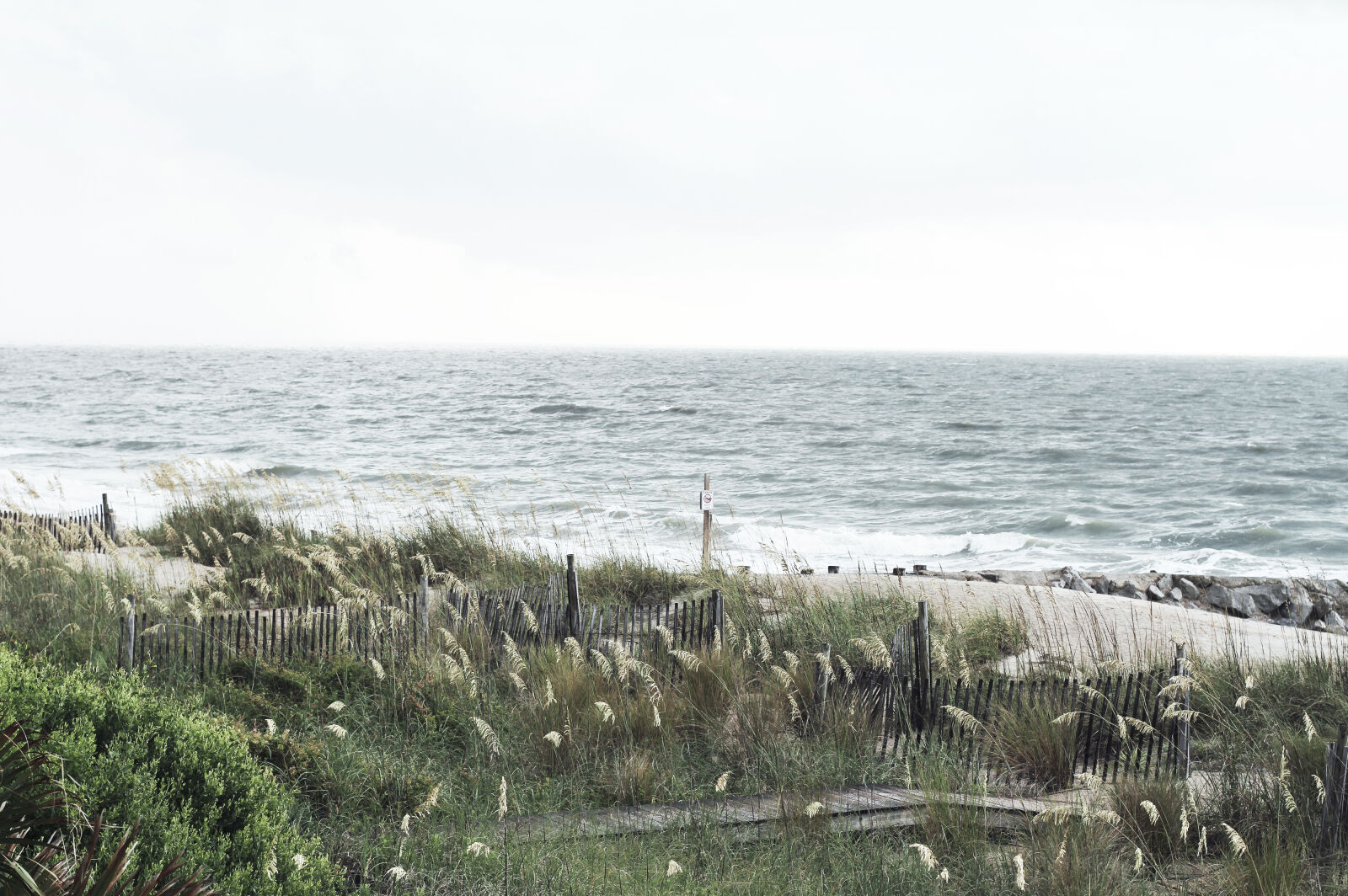 Canon EOS 7D + Canon EF 50mm F1.4 USM sample photo. Scenic, view, of, sea photography