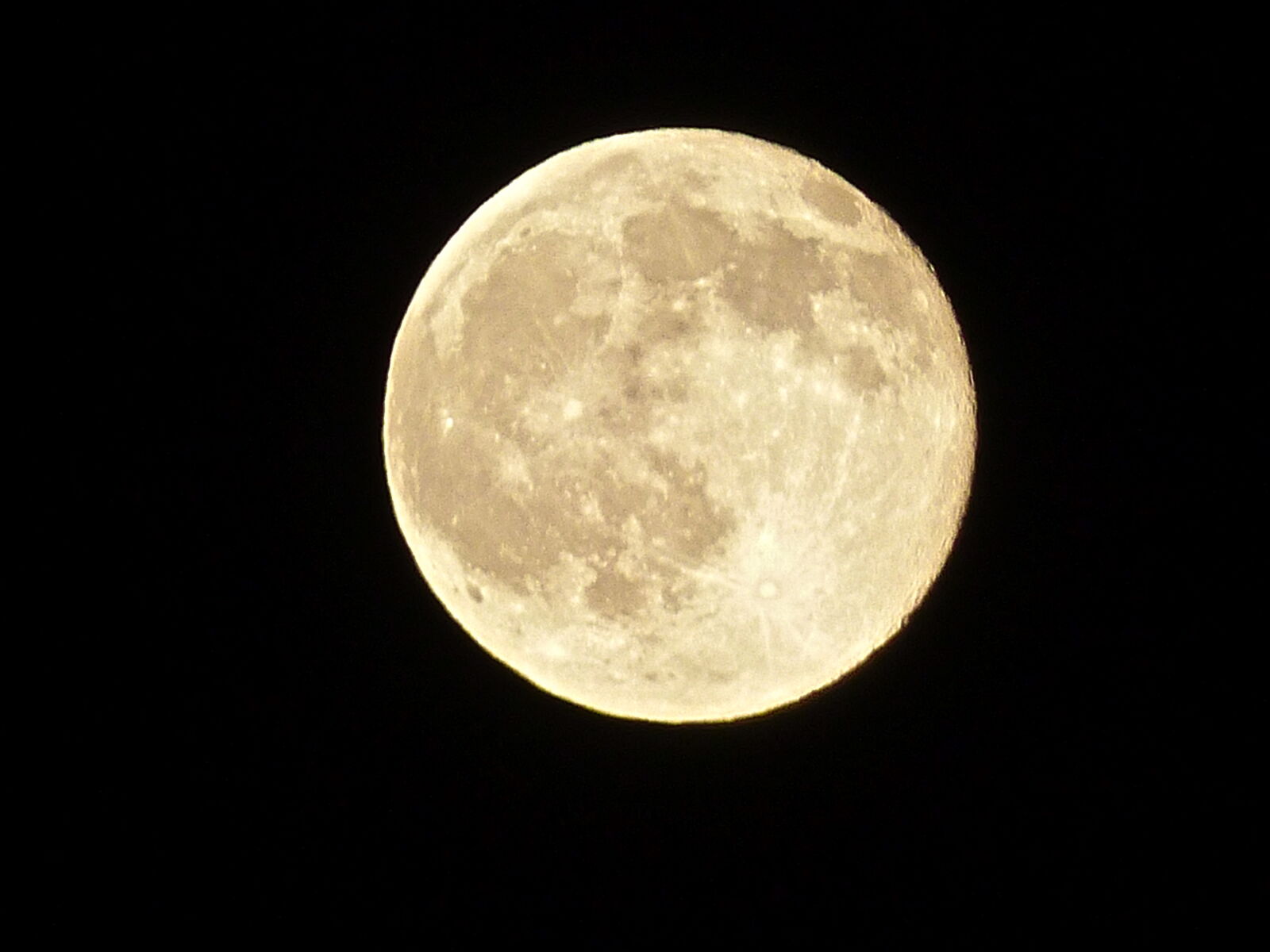 Panasonic Lumix DMC-FZ200 sample photo