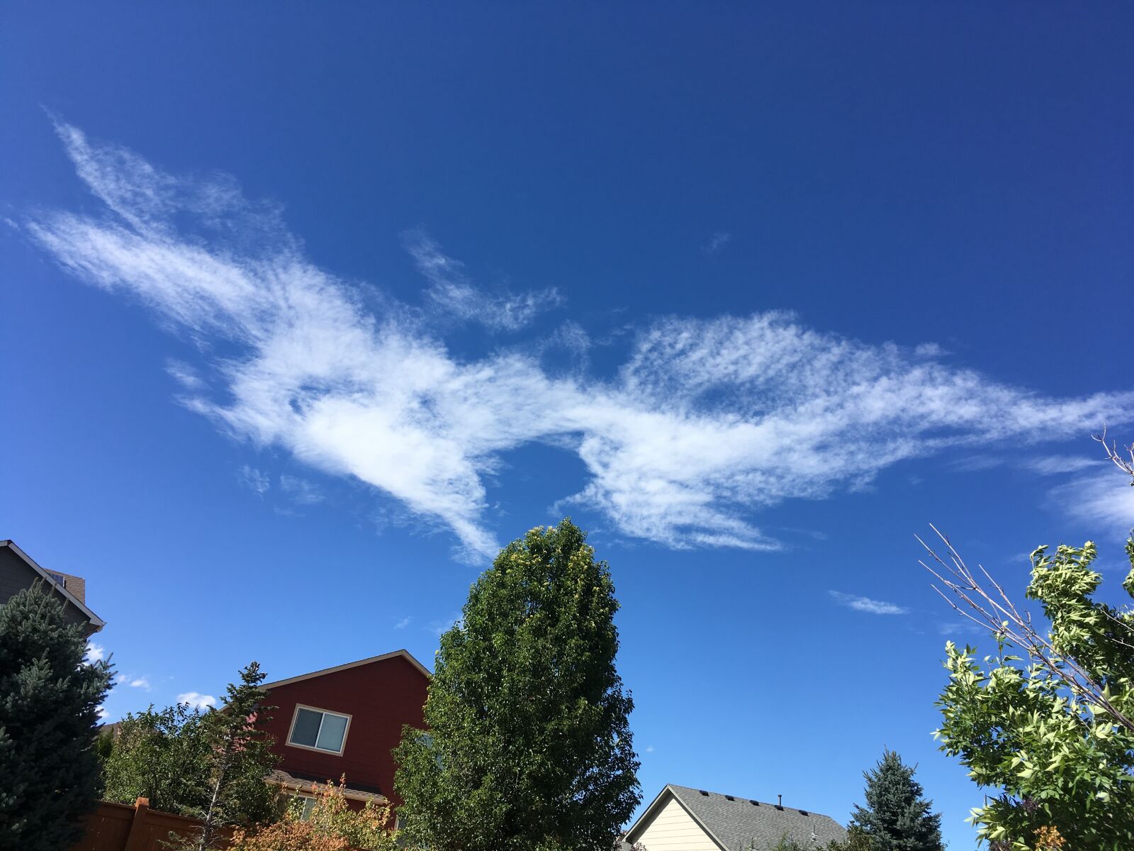 Apple iPhone SE sample photo. Colorado sky, angel wings photography