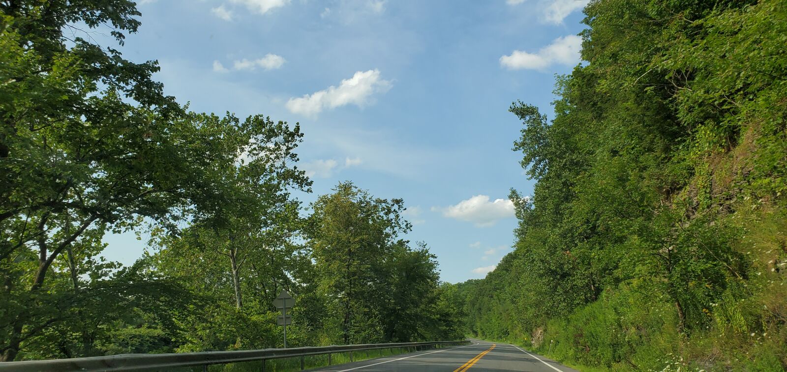Samsung Galaxy S10 sample photo. Road, driving, trees photography