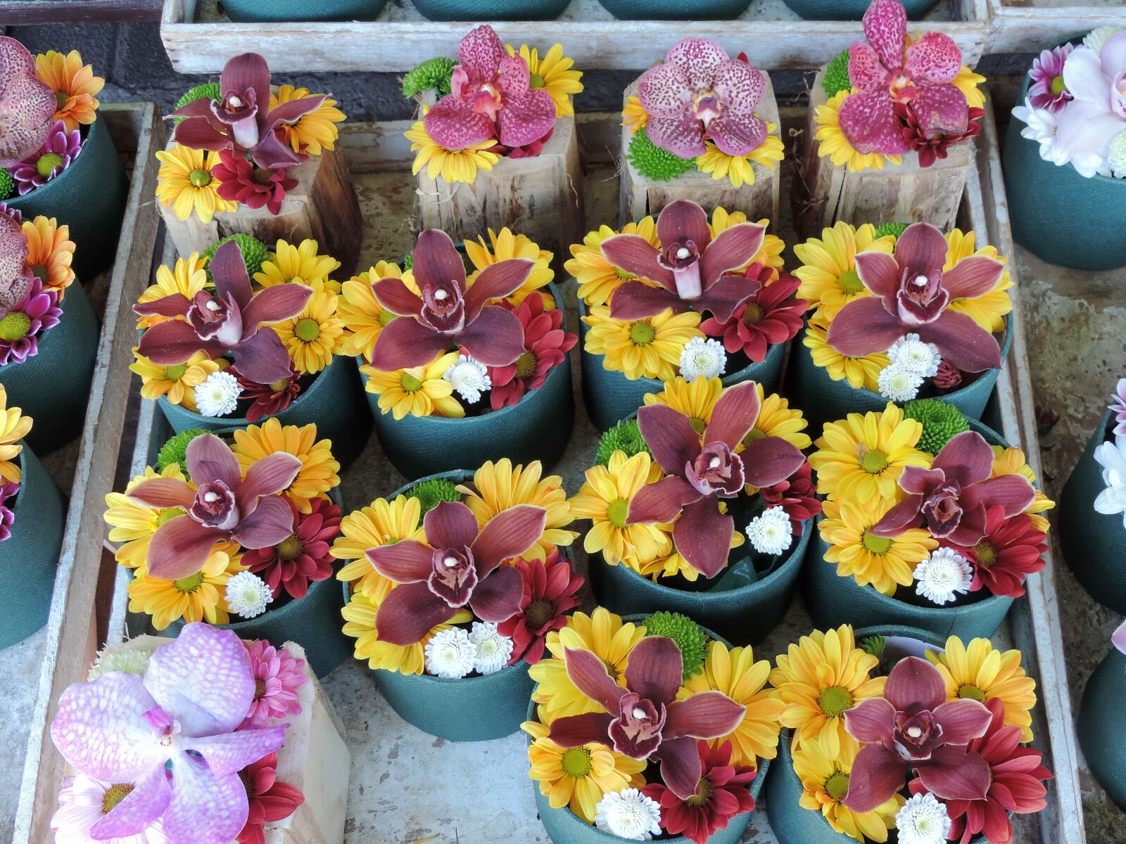 Nikon Coolpix P520 sample photo. Arrangement, flowerpot, flowers, handmade photography