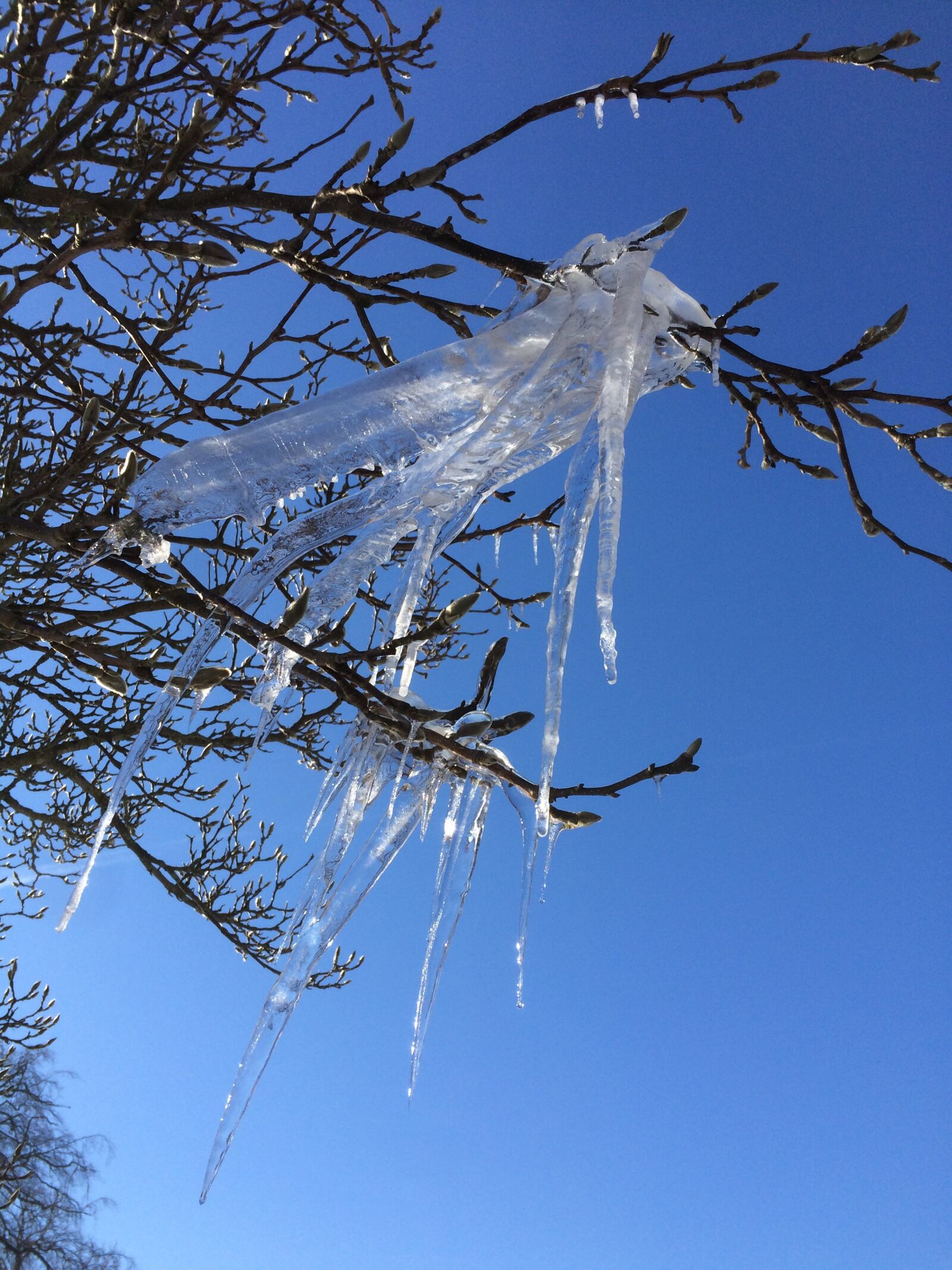iPhone 5s back camera 4.15mm f/2.2 sample photo. Icicle, ice, winter photography