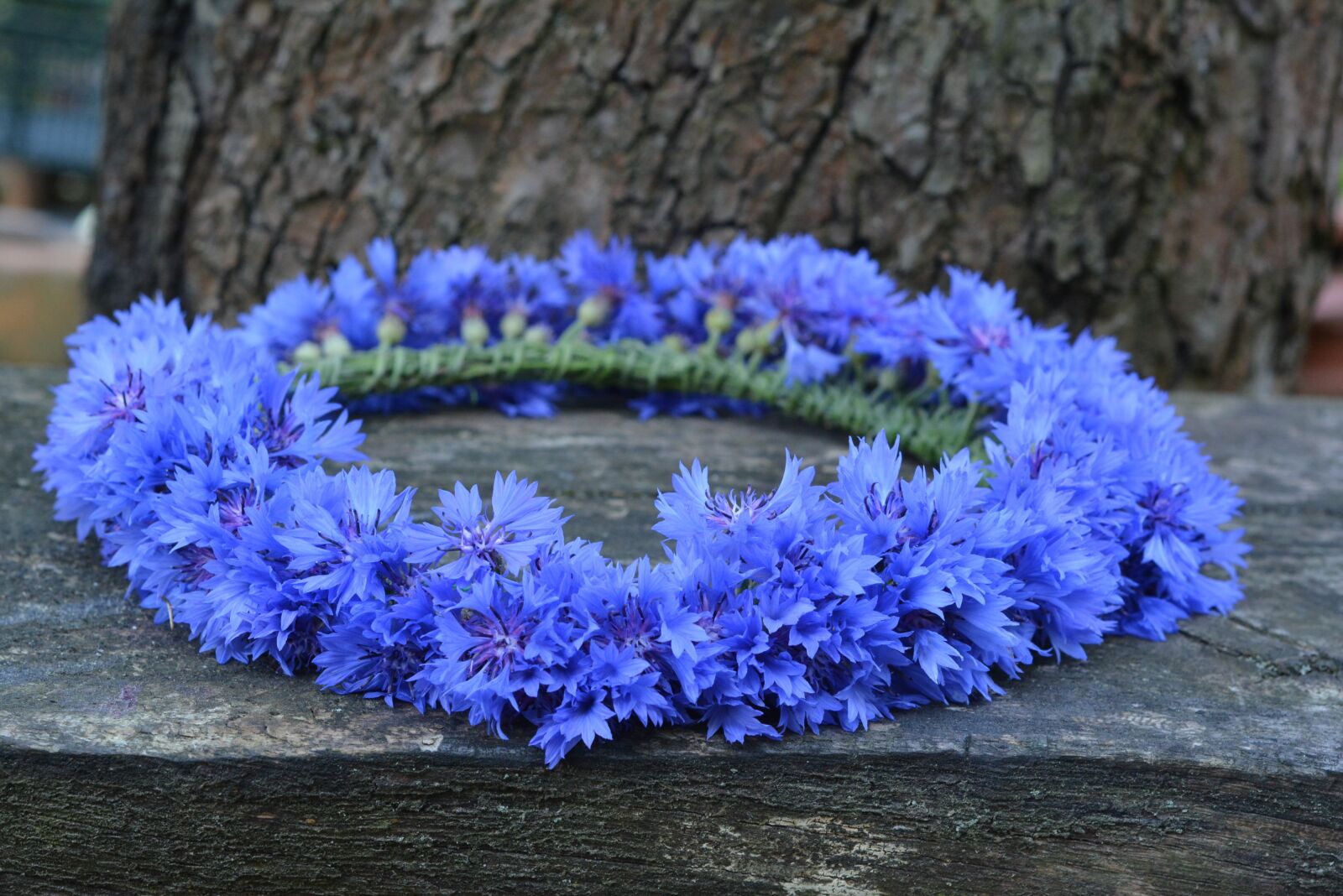 Nikon D5200 sample photo. Wreath, cornflower, cornflowers photography