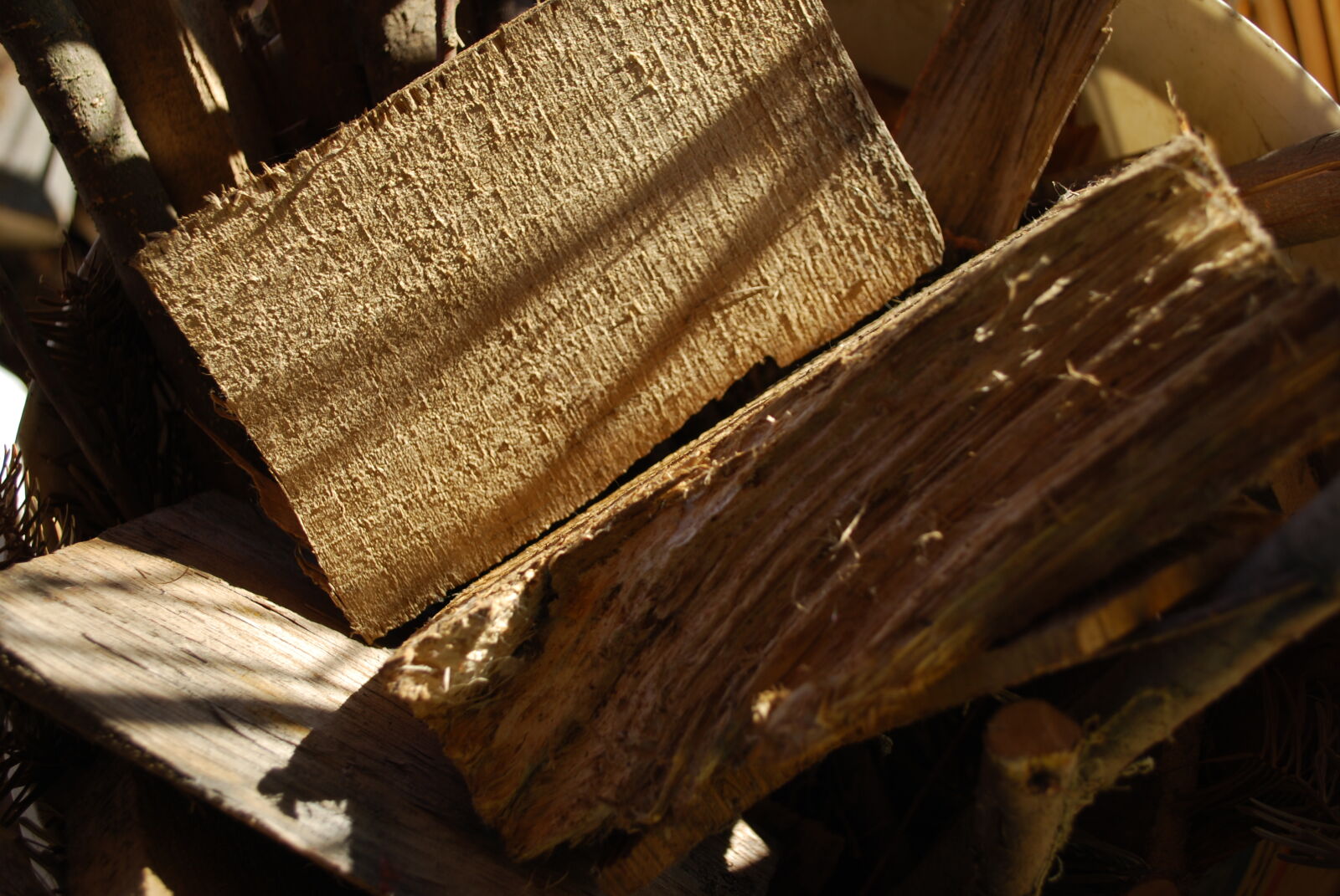 Nikon D60 sample photo. Chopped, wood, garden, sunny photography