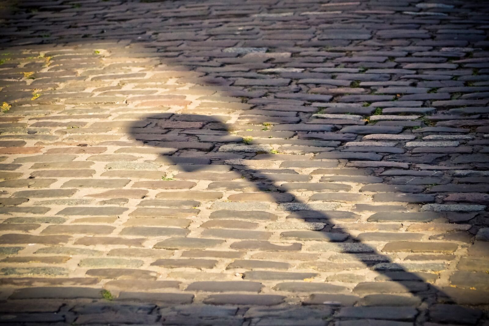 Olympus OM-D E-M10 sample photo. Road, cobblestones, city photography