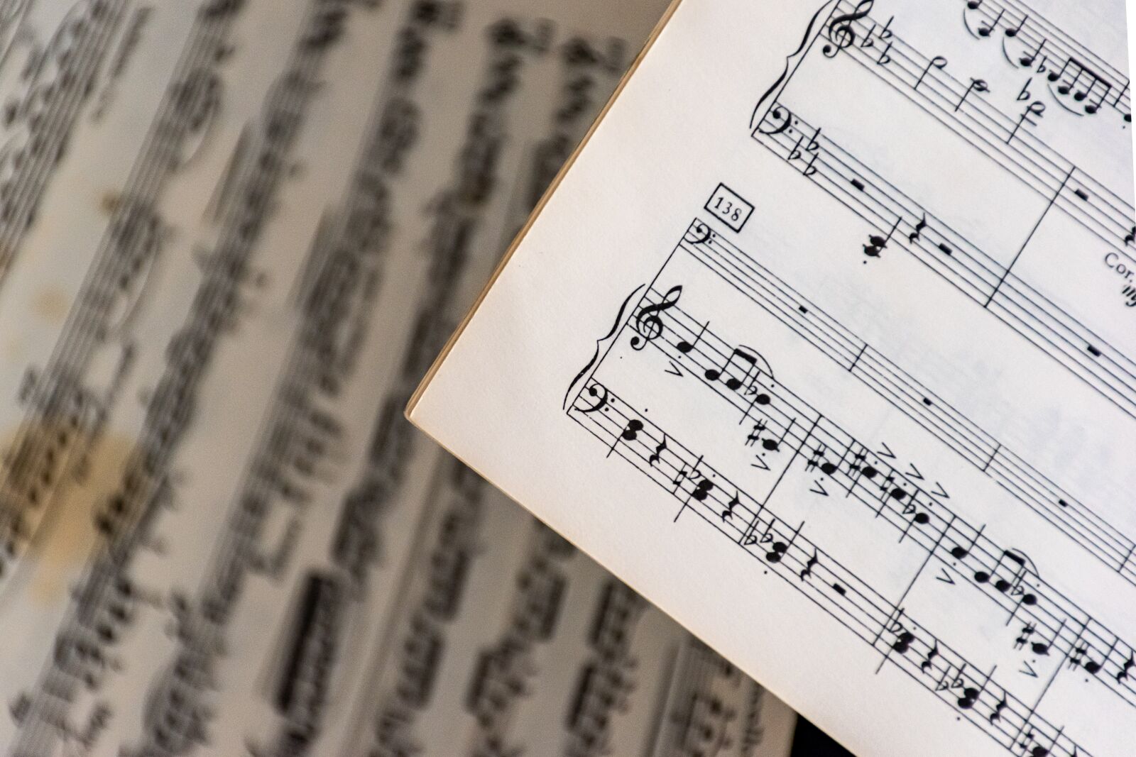 Nikon D5600 sample photo. Sheet music, cello, violun photography