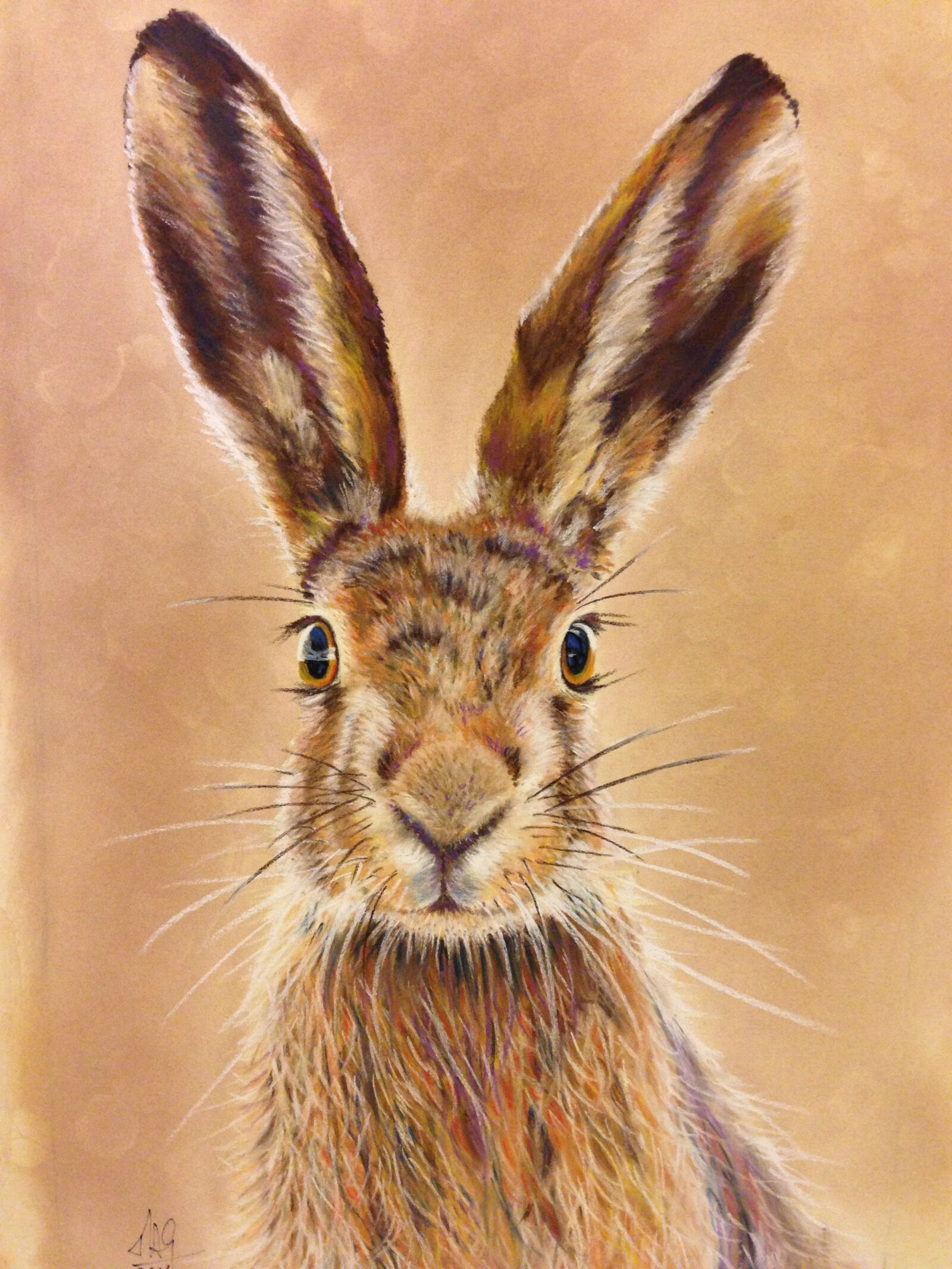 Apple iPhone 5 sample photo. Hare, pastel pencils, artistic photography
