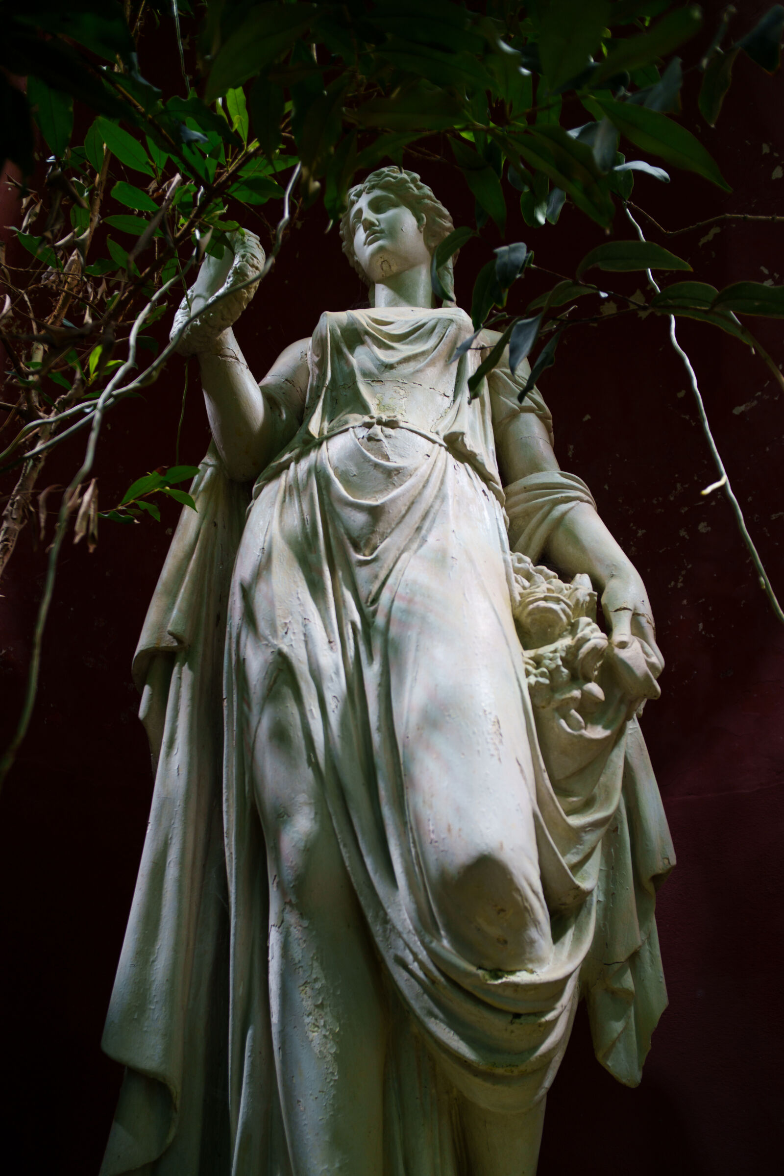 Samyang Remaster Slim 21mm F3.5 sample photo. Statue of the plant photography