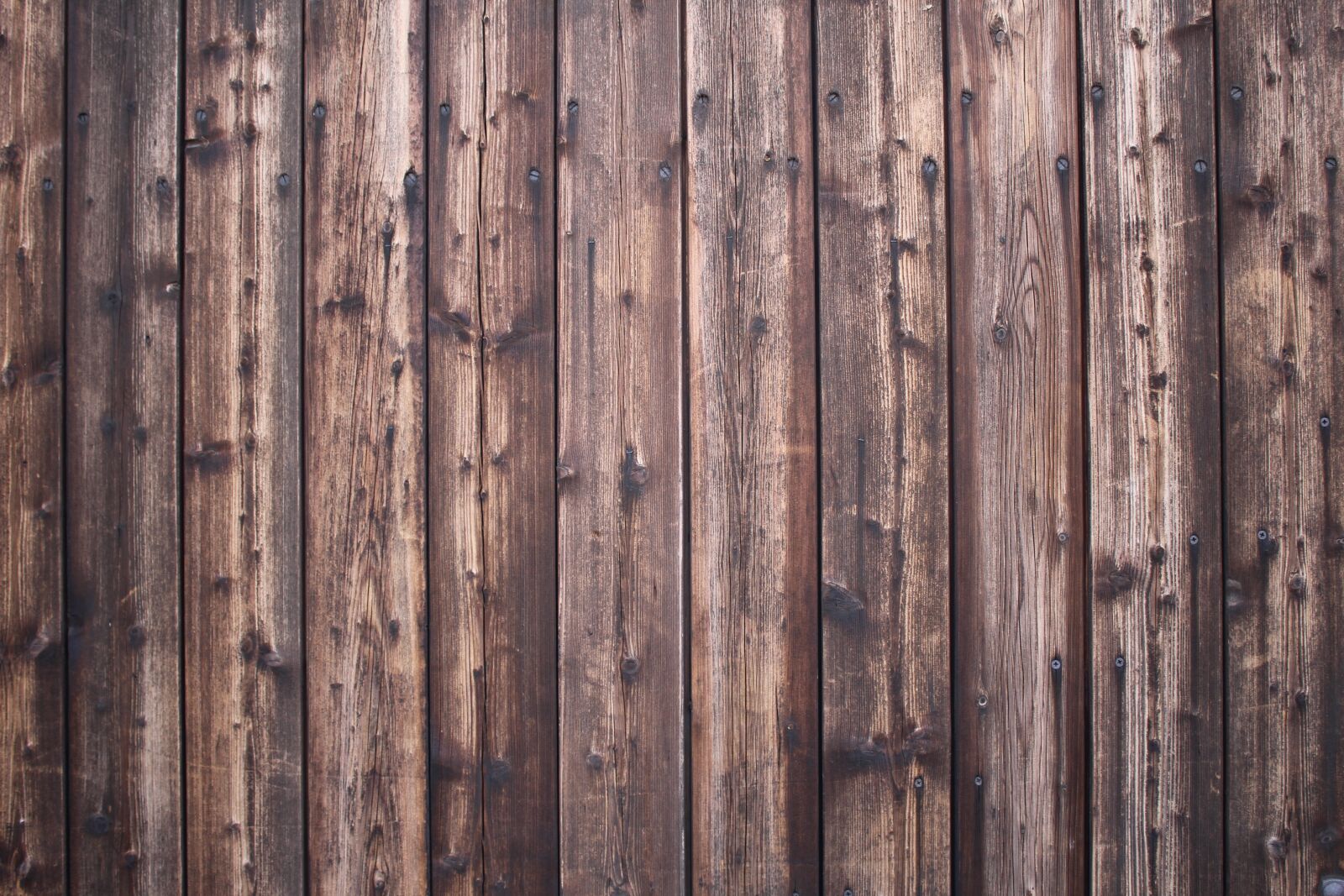 Canon EOS 1300D (EOS Rebel T6 / EOS Kiss X80) sample photo. Wood, texture, background photography
