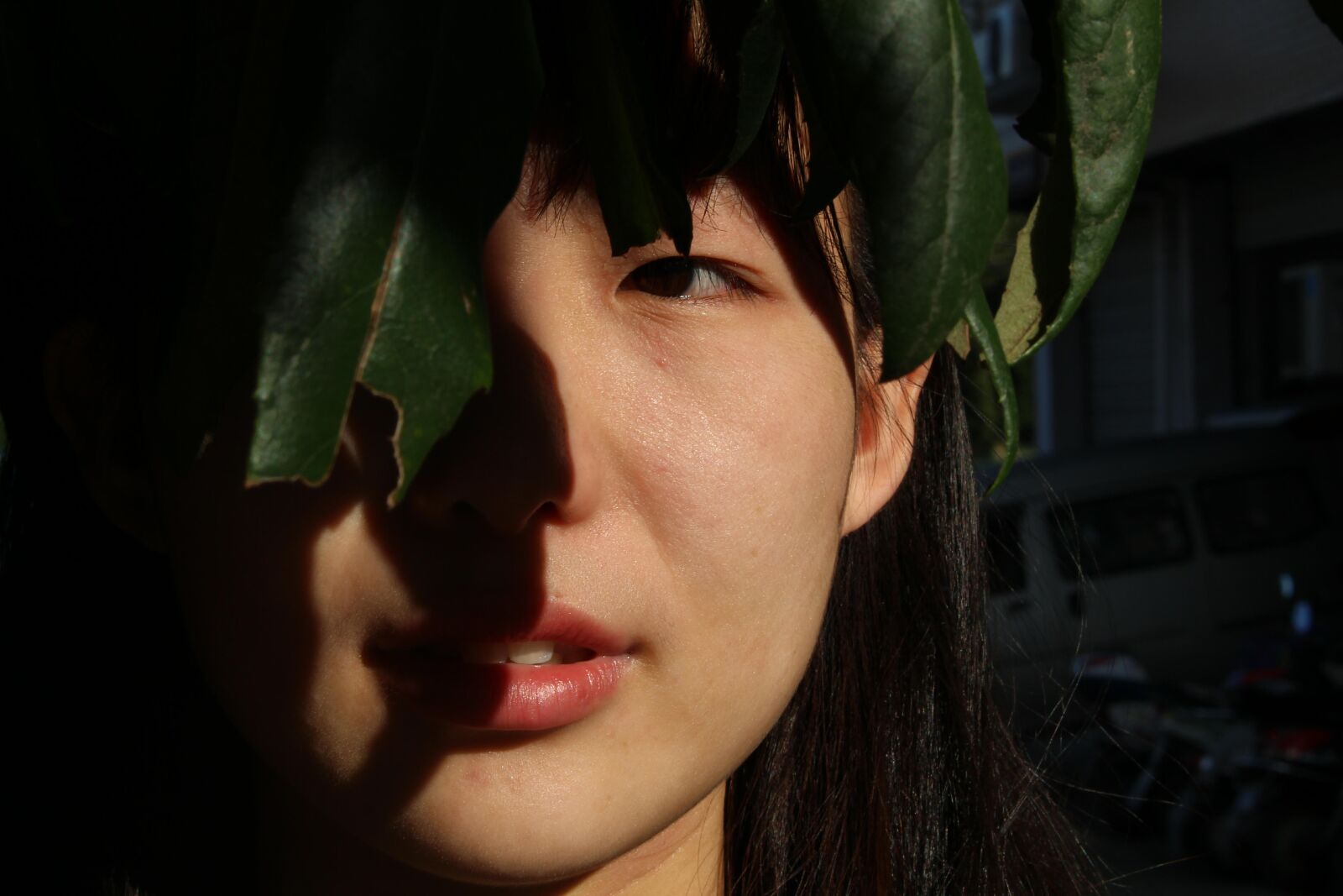 Canon EOS 700D (EOS Rebel T5i / EOS Kiss X7i) sample photo. Girls, sunshine, shadows photography