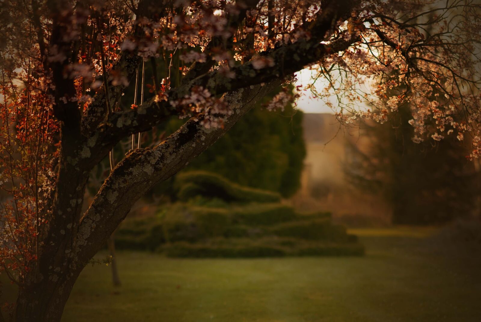 Nikon D610 sample photo. Spring, green photography
