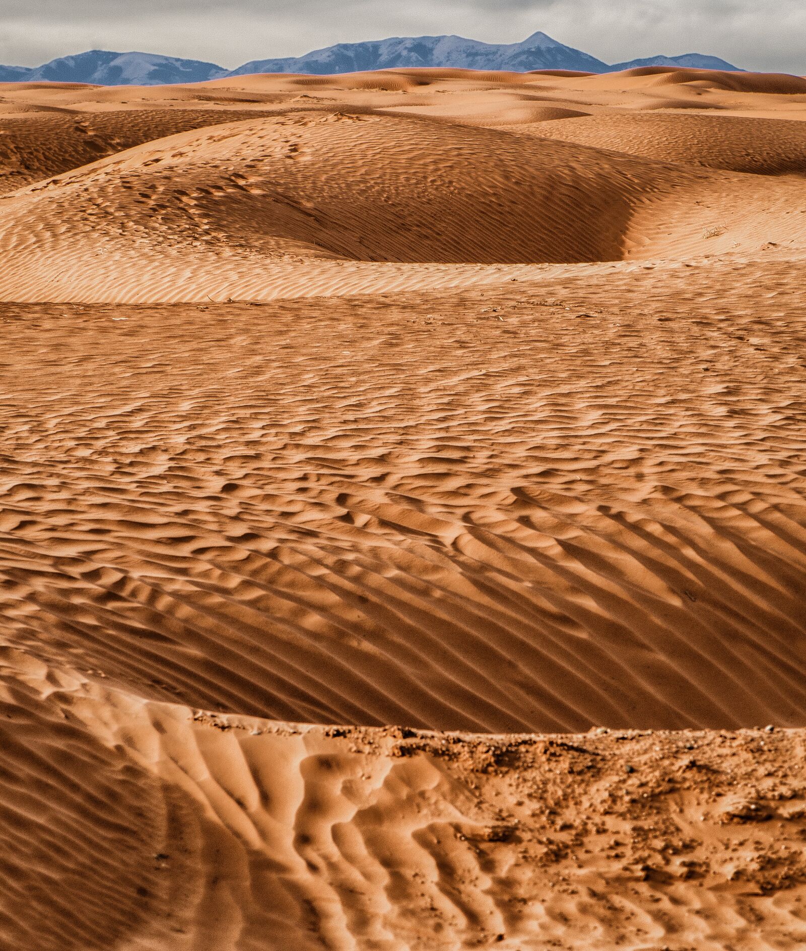 Nikon D7000 sample photo. Sand, sand dunes, d photography