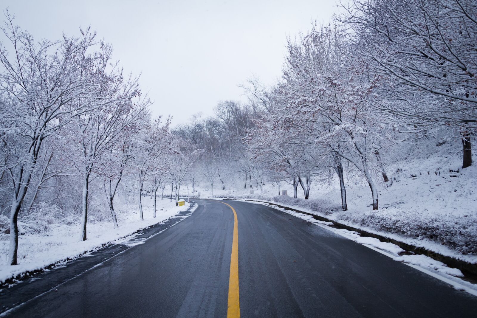 Canon EOS 550D (EOS Rebel T2i / EOS Kiss X4) sample photo. Road, snow, winter photography