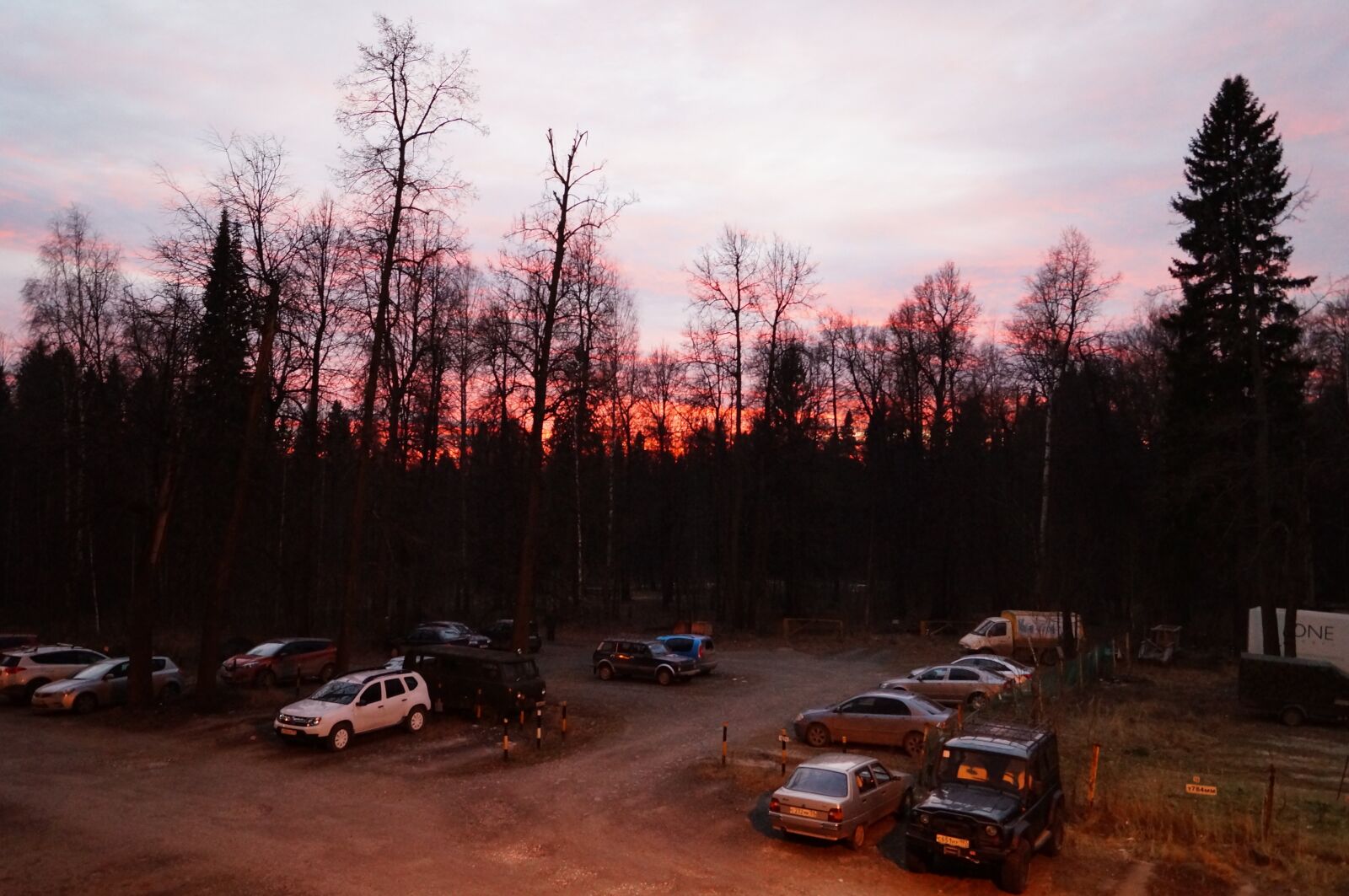 Sony SLT-A57 sample photo. Evening, forest, sunset photography