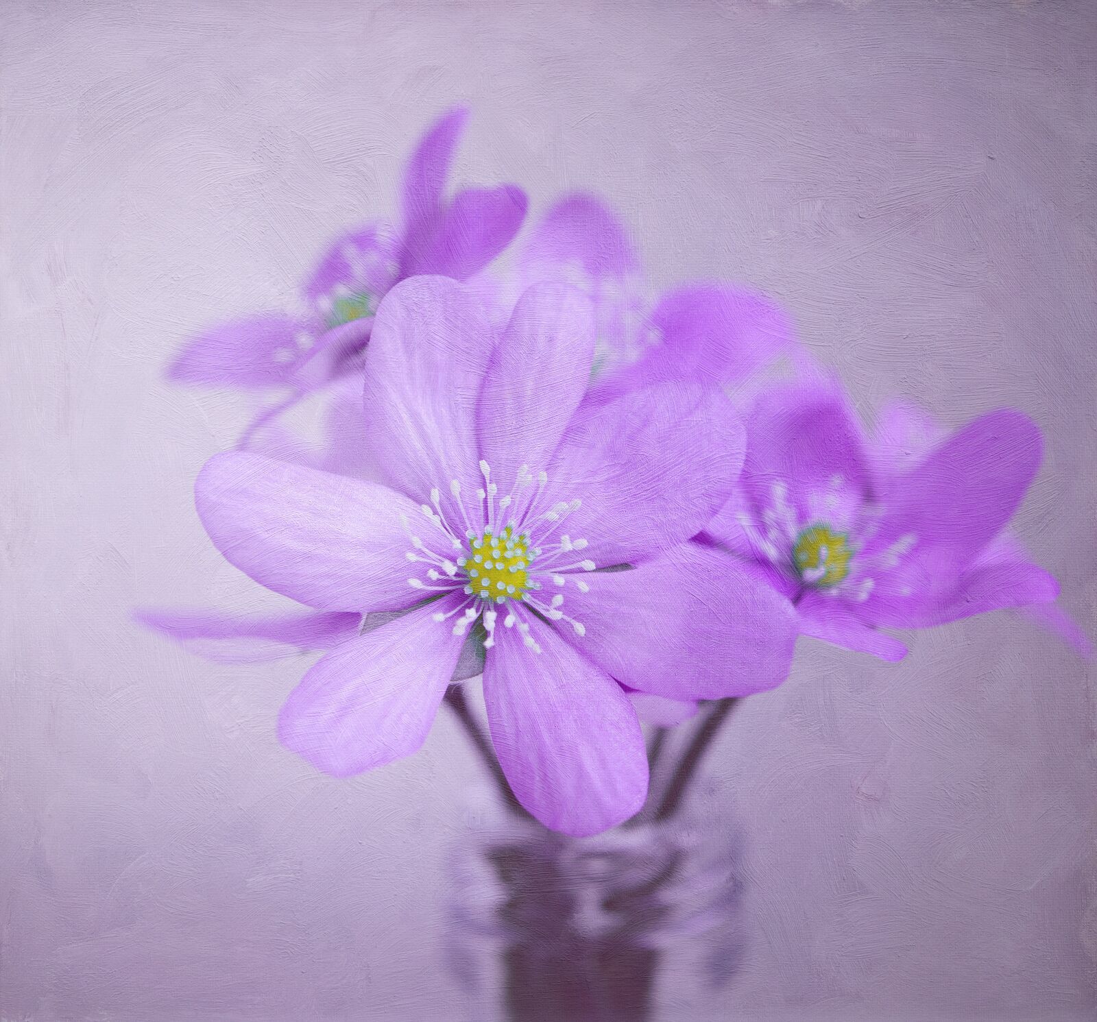 Nikon D750 sample photo. Image, painting, flowers photography