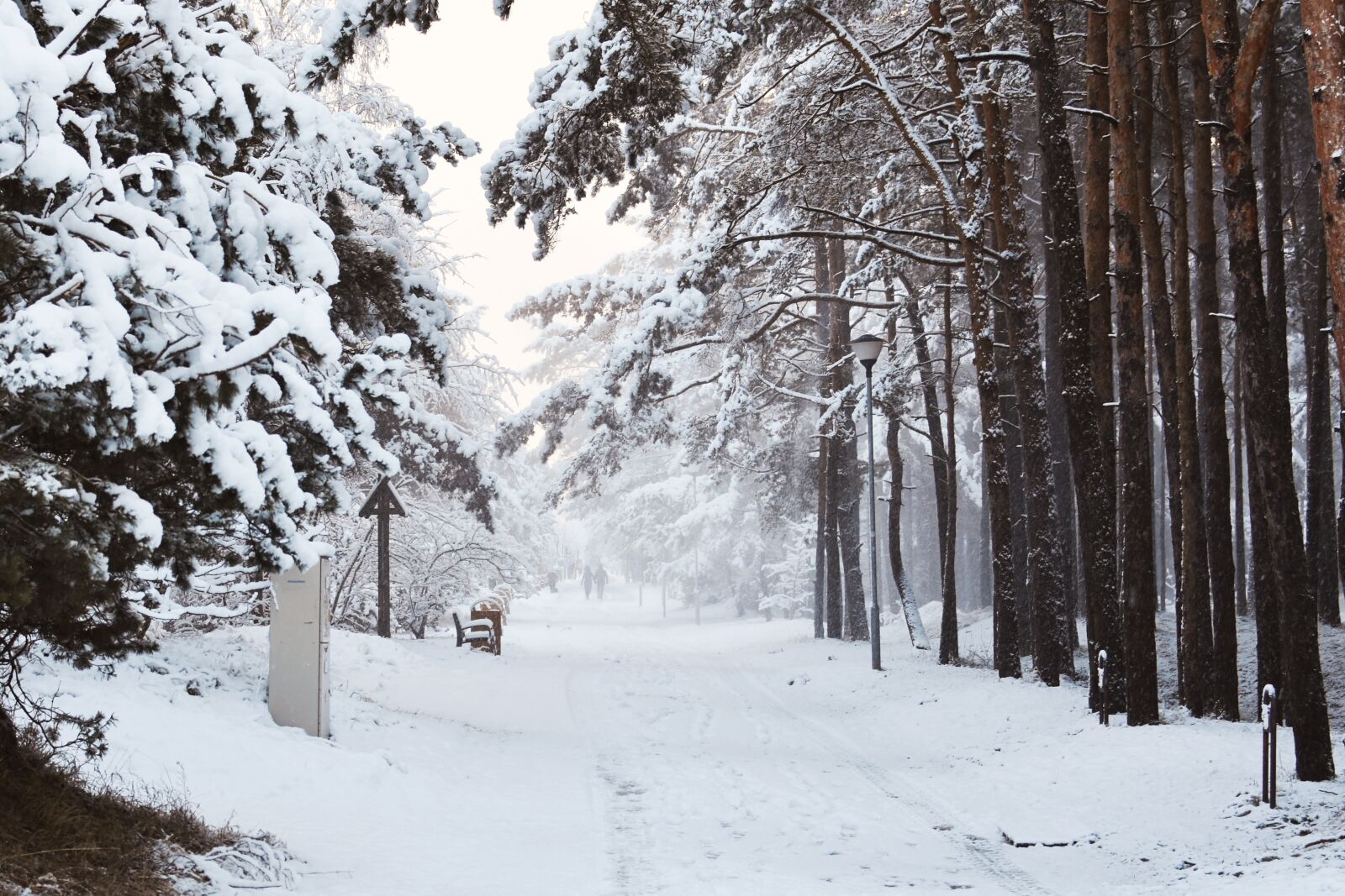 Nikon D7200 sample photo. Wintry way, snowy way photography