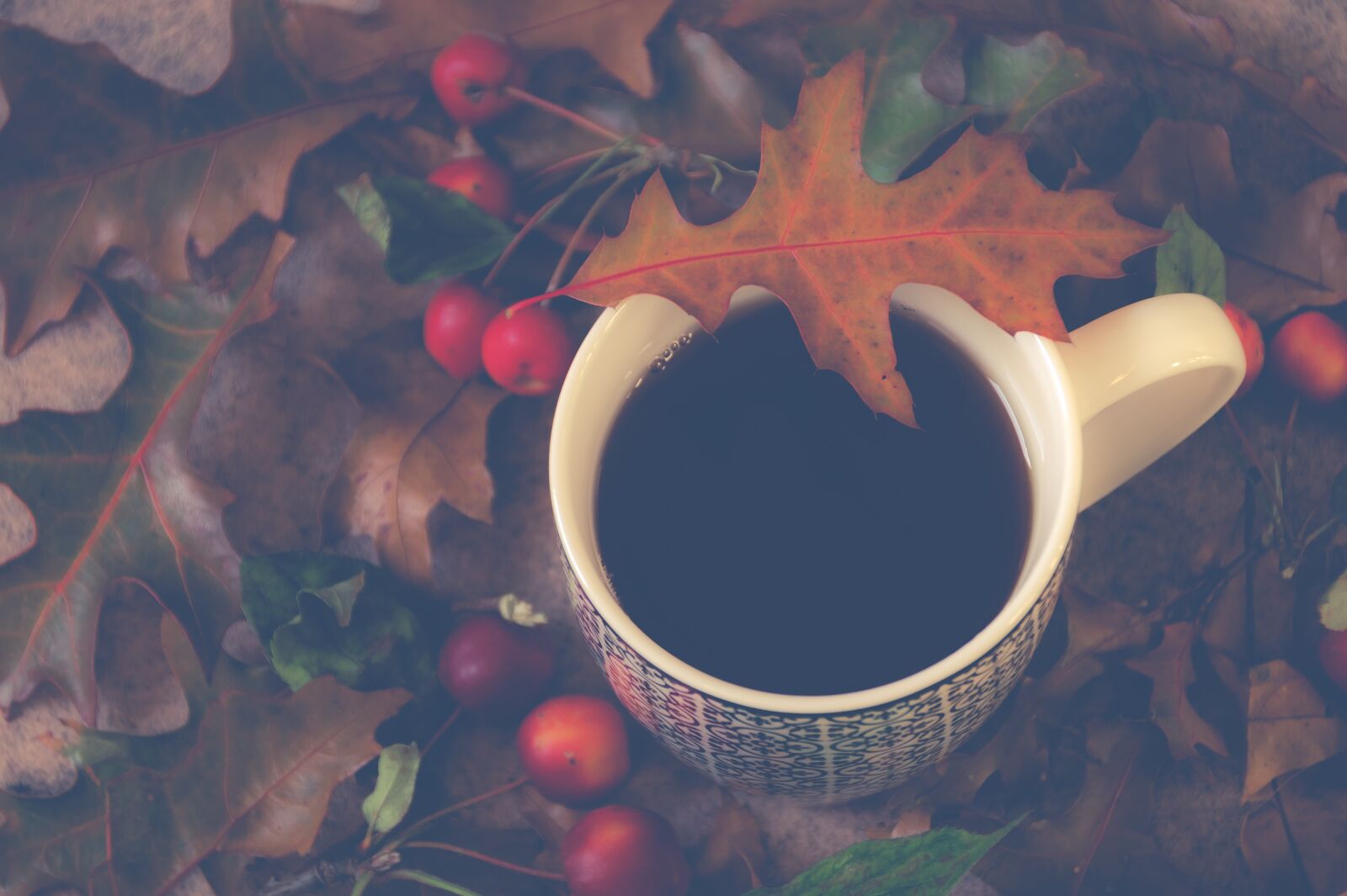 Sony SLT-A58 sample photo. Still life, tea, autumn photography