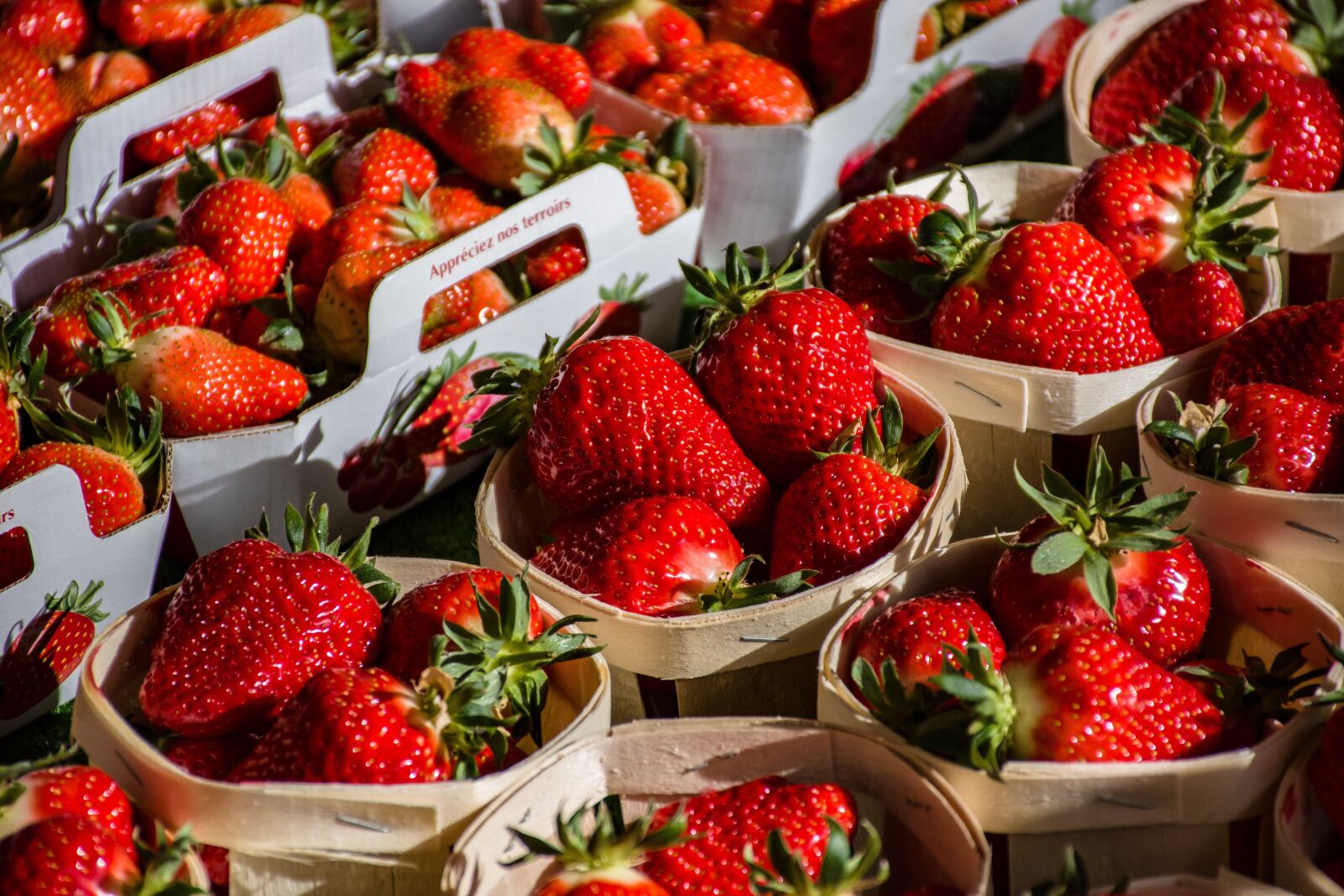 Nikon D5600 sample photo. Fruit, red, harvest photography