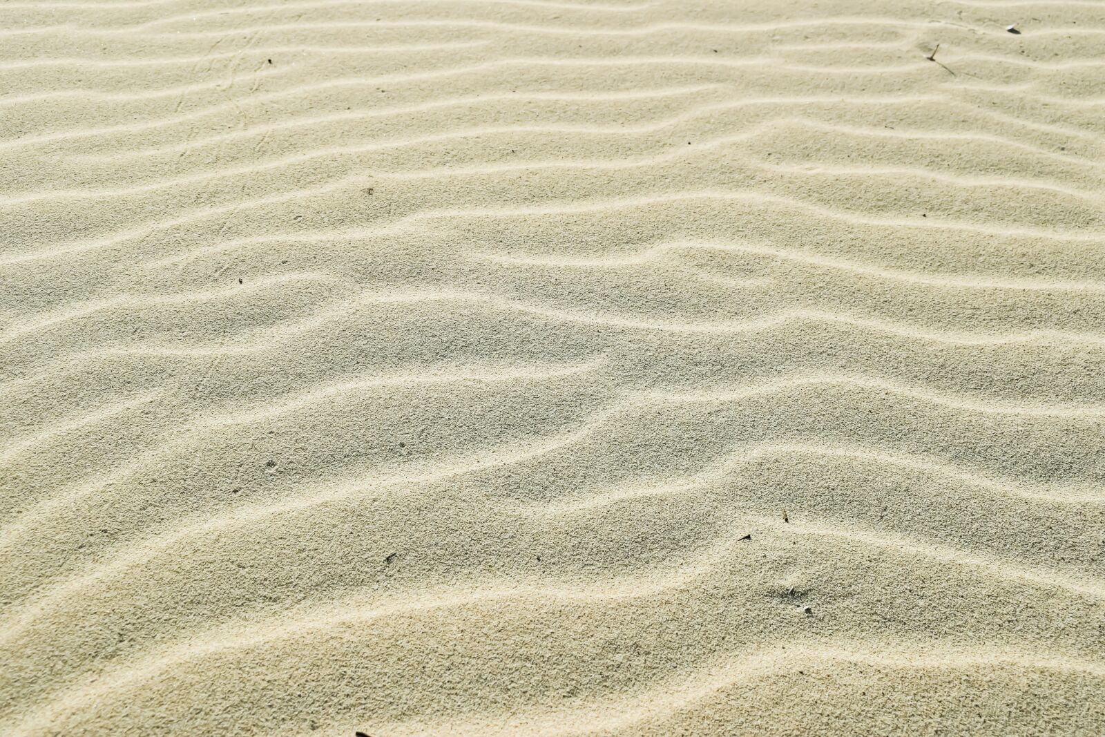 Nikon D3300 sample photo. Sand, waves, beach photography