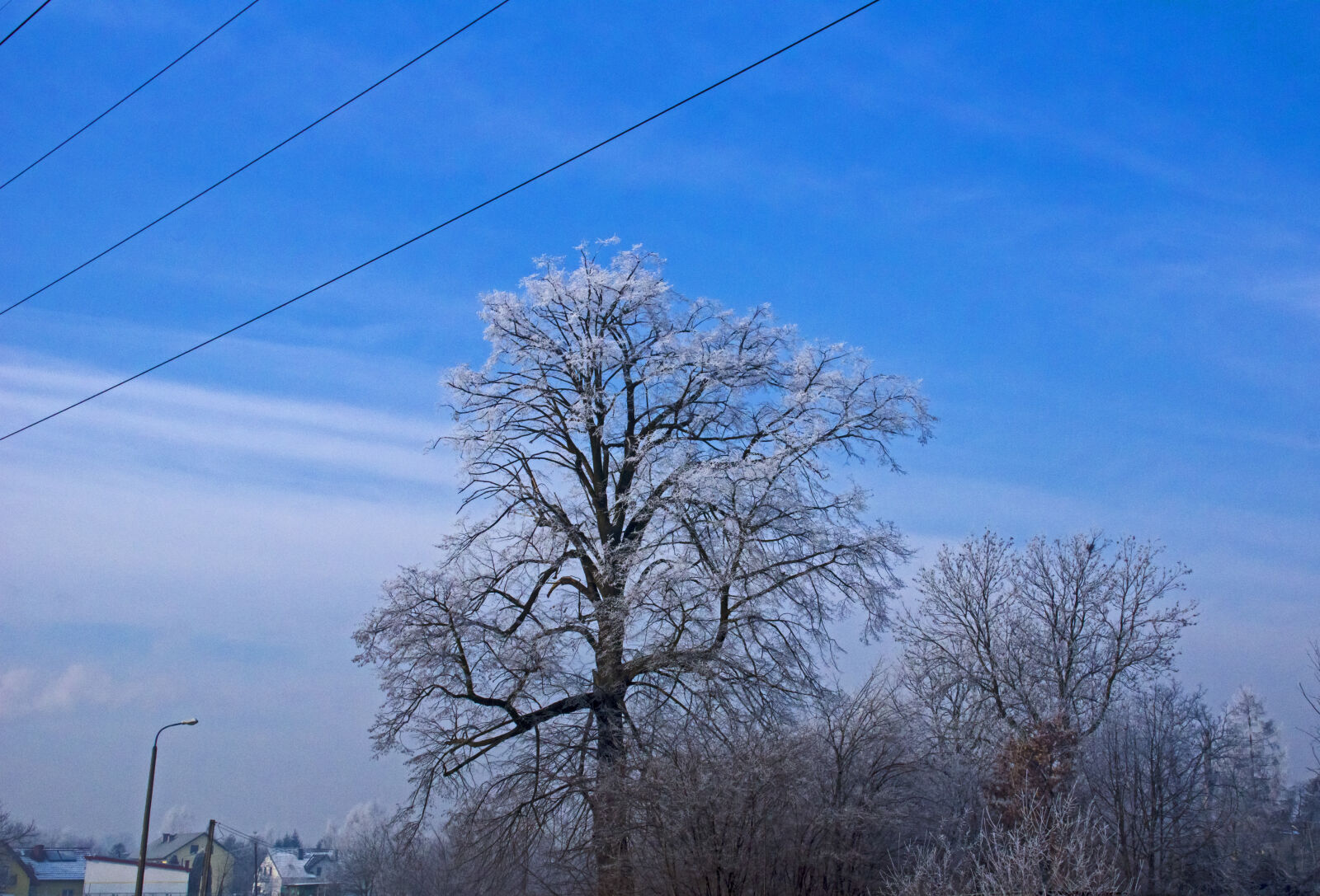 Sony SLT-A65 (SLT-A65V) + Sony DT 18-200mm F3.5-6.3 sample photo. Blue, frost, sky, tree photography
