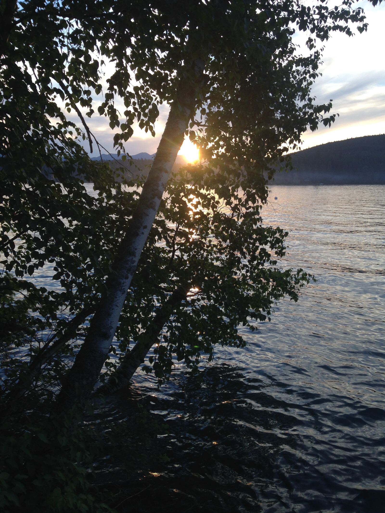 iPhone 5c back camera 4.12mm f/2.4 sample photo. Lake, nature, montana photography