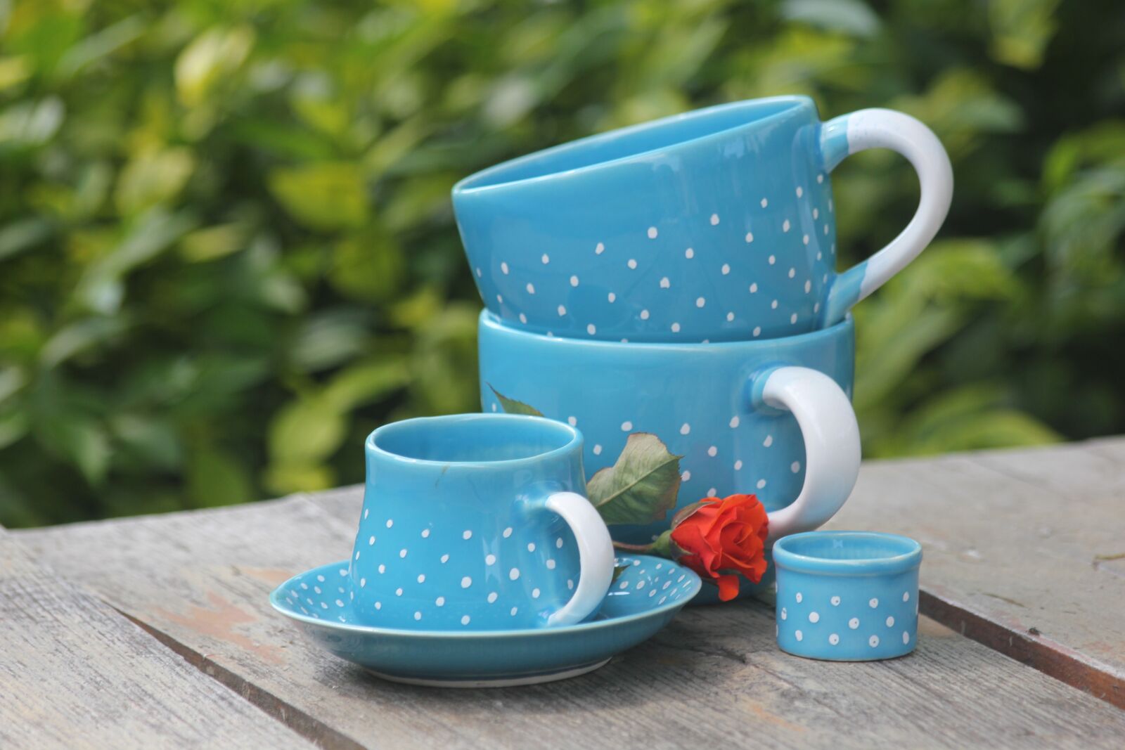 Canon EOS 550D (EOS Rebel T2i / EOS Kiss X4) sample photo. Potty, ceramics, a cup photography