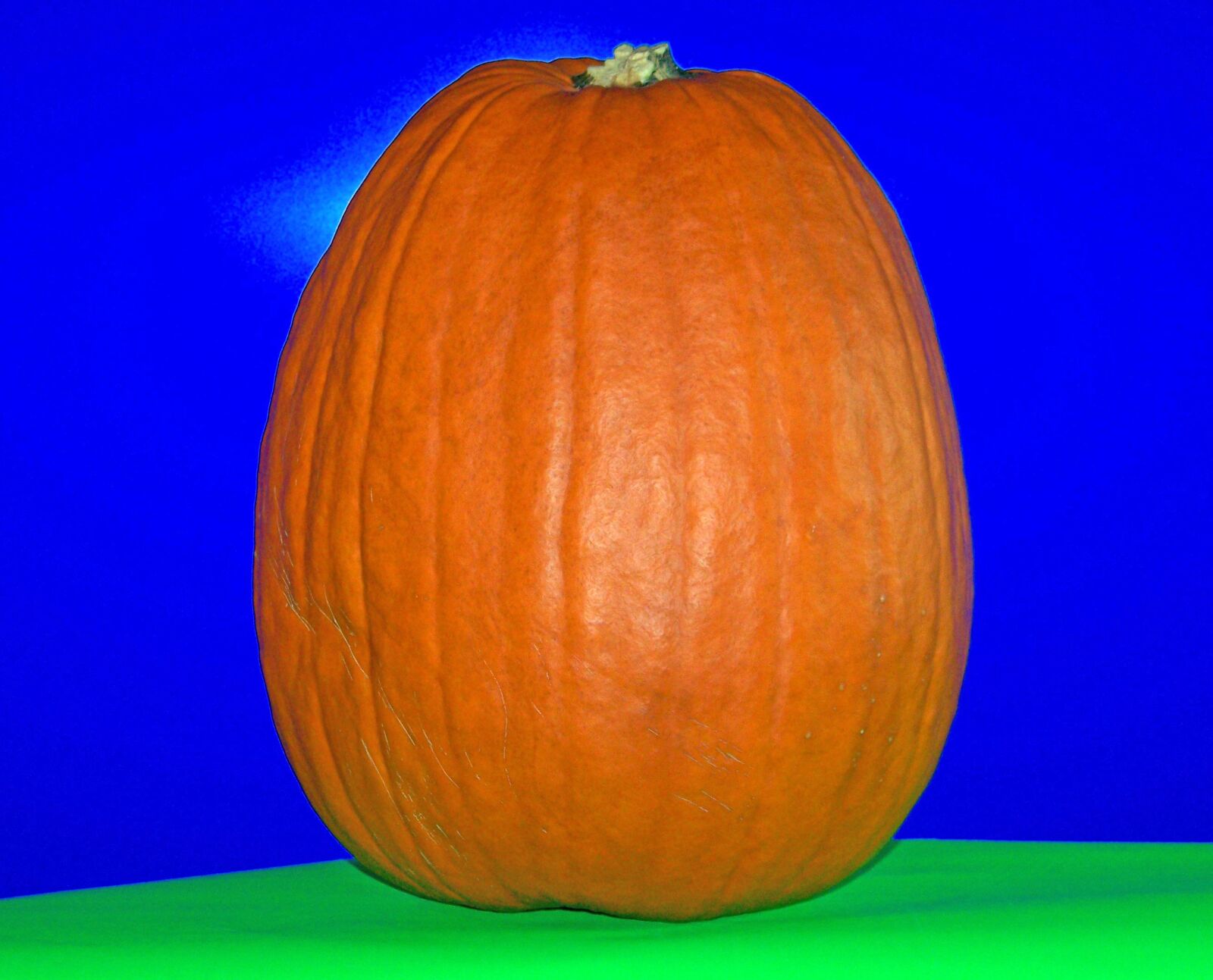 Kodak Z612 ZOOM DIGITAL CAMERA sample photo. Agriculture, autumn, celebration, crop photography