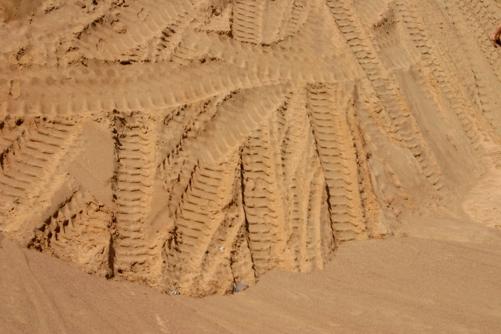 Canon EOS 300D (EOS Digital Rebel / EOS Kiss Digital) sample photo. Sand, the background, desert photography