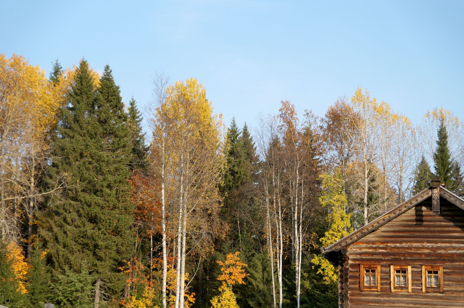 Sony SLT-A58 sample photo. Cabin, autumn, trees photography
