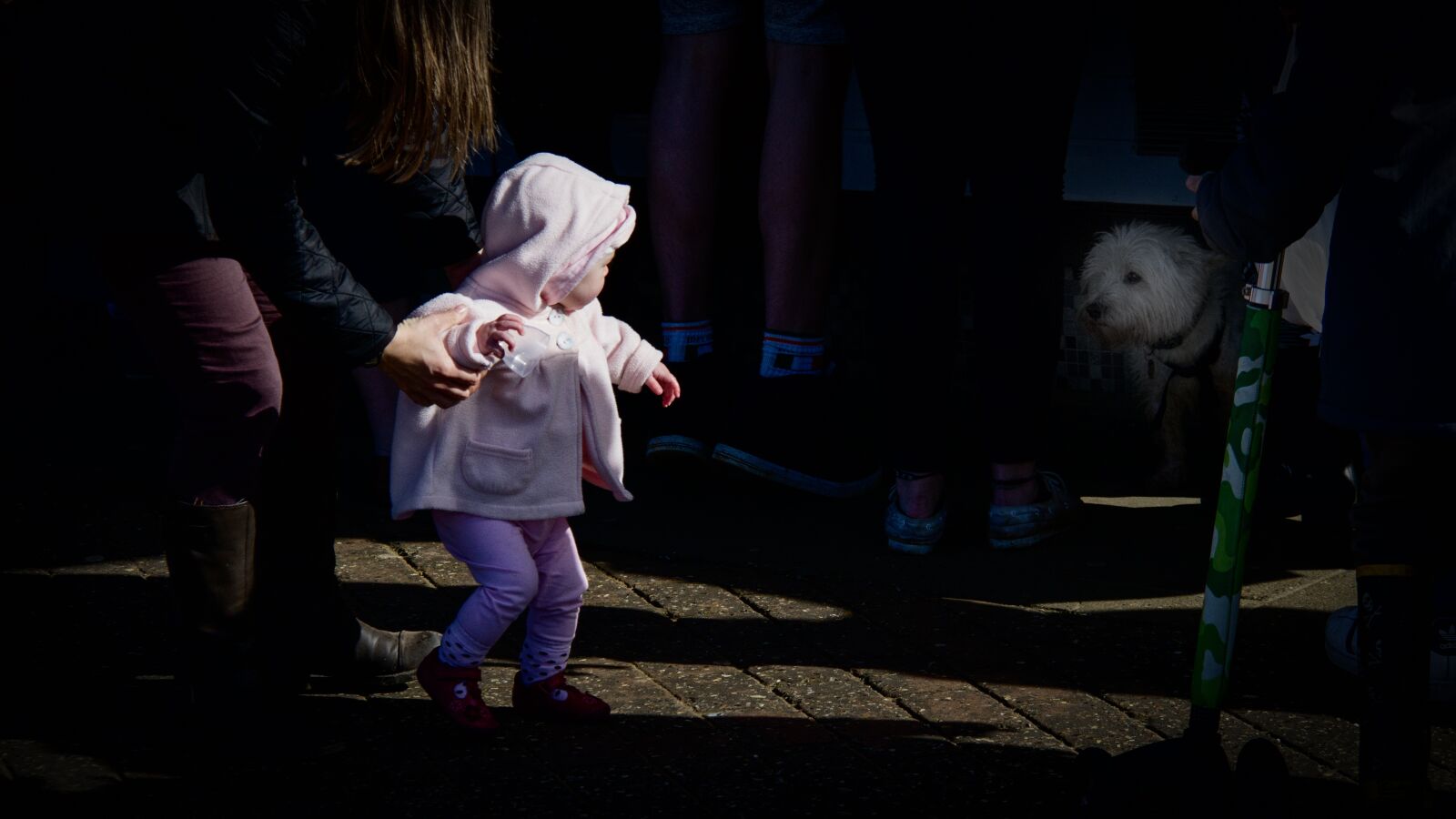 Canon EF-S 18-200mm F3.5-5.6 IS sample photo. Fear, dog, child photography