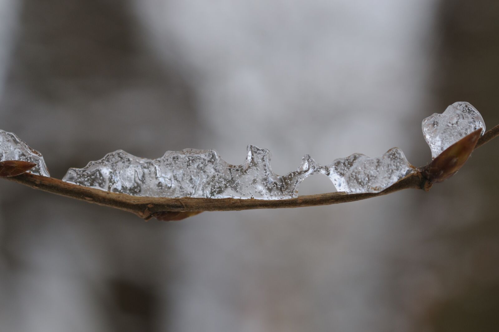 Nikon D300S sample photo. Ice, winter, snow photography