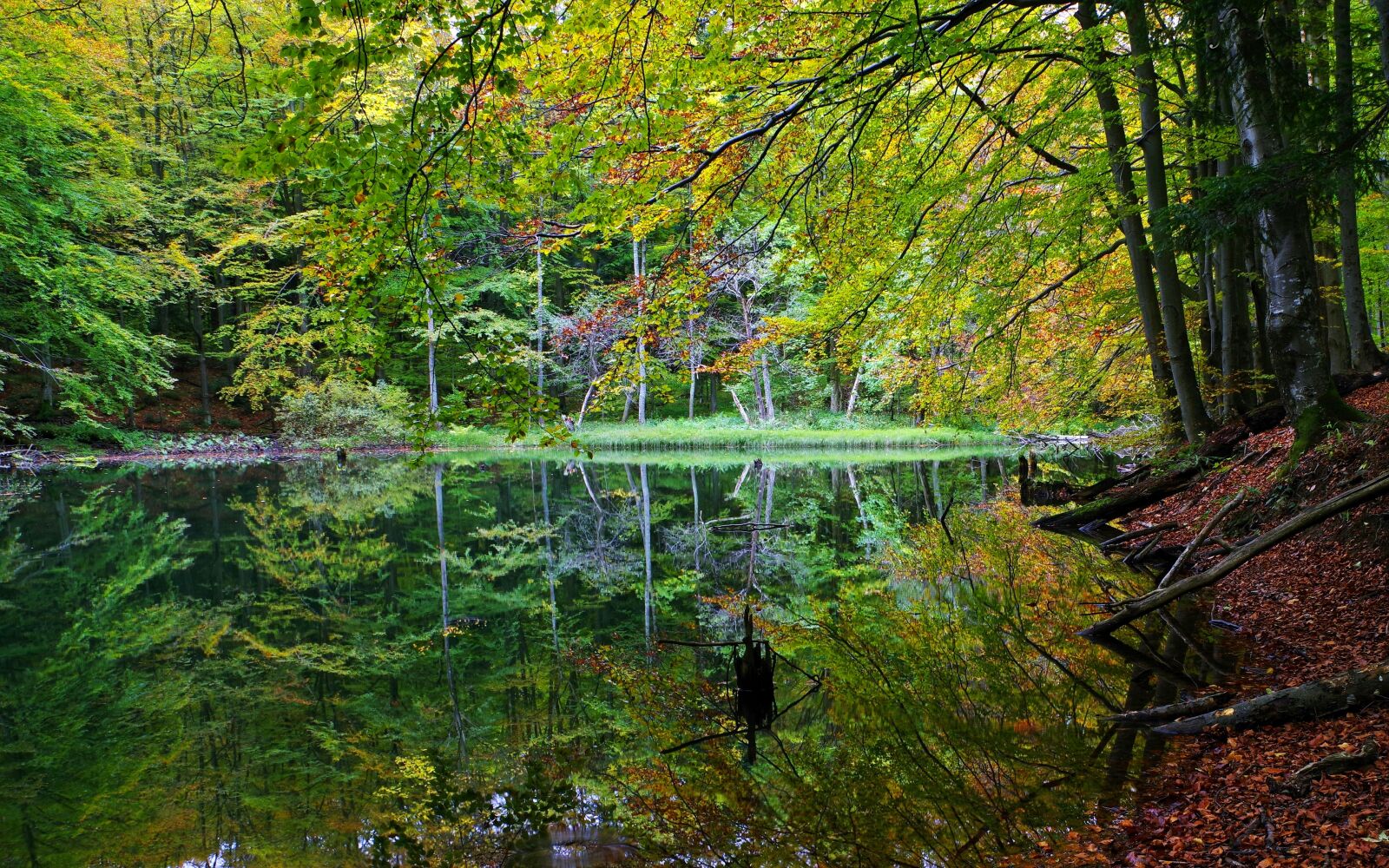 Pentax K-1 sample photo. Poland, bieszczady, the zwiez photography