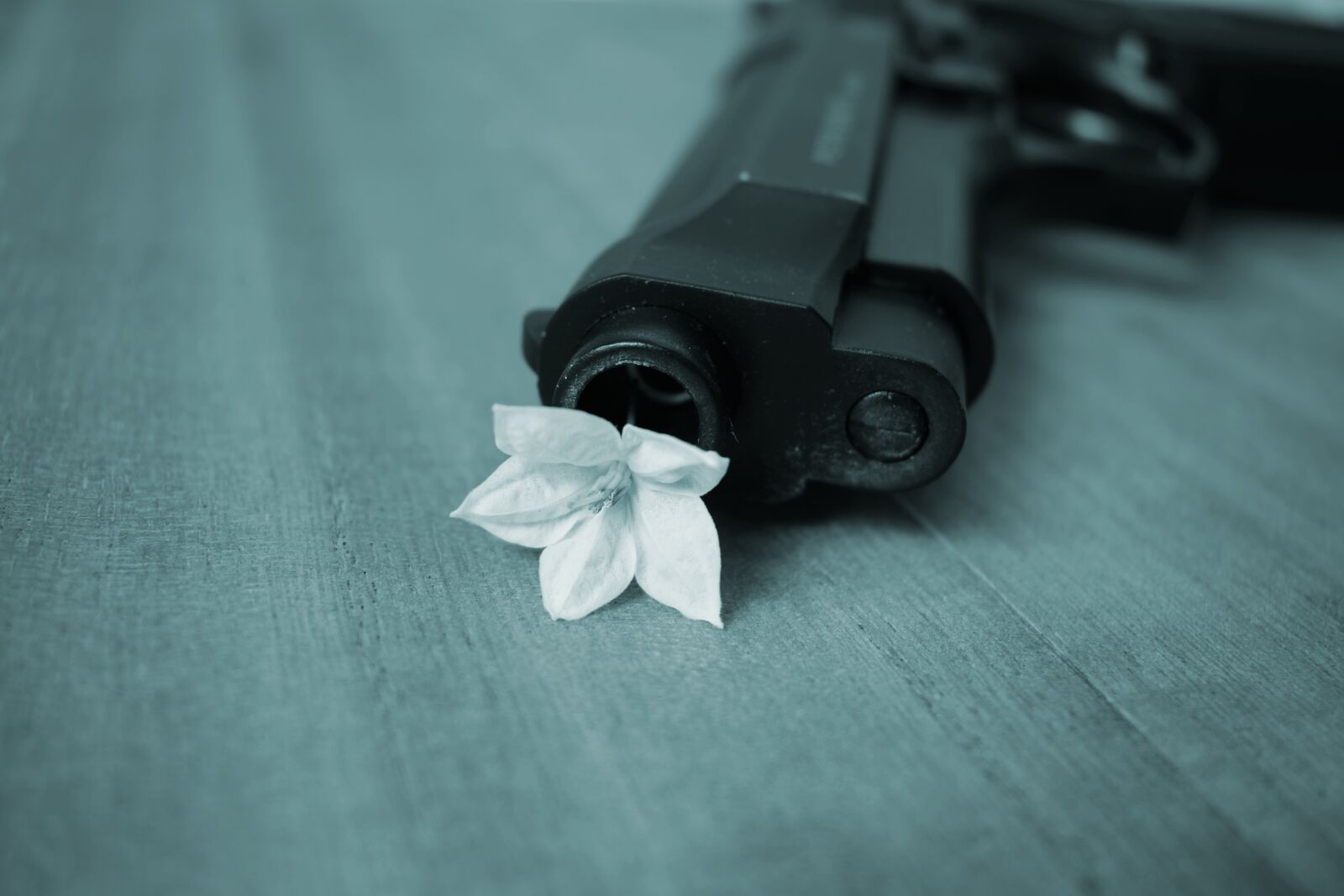 Nikon D3300 sample photo. Harmony, peace, pistol photography