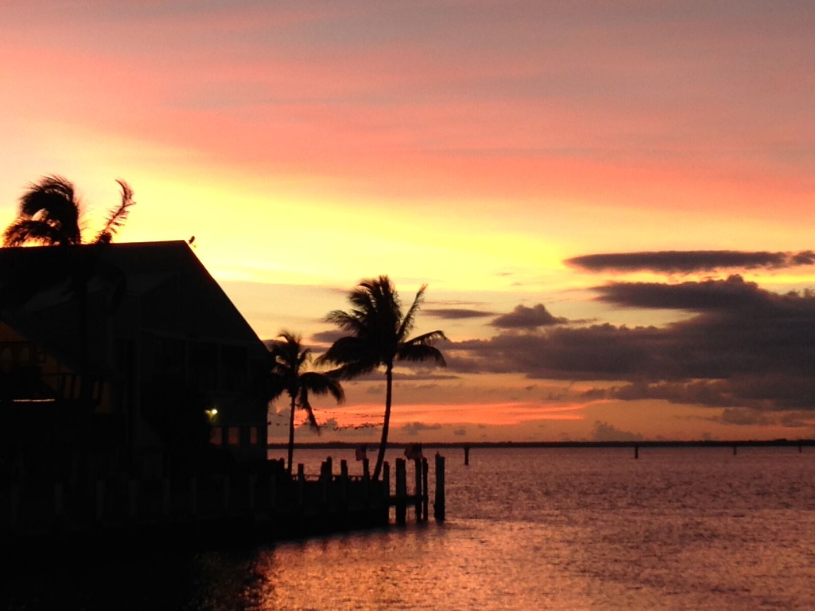 iPhone 5c back camera 4.12mm f/2.4 sample photo. Sunset, colors, palm tree photography