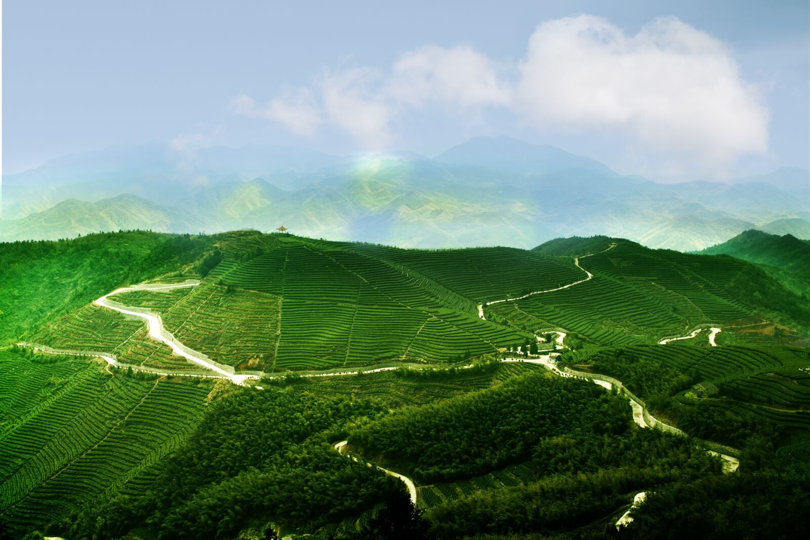 Canon EOS 70D sample photo. Nature, a bird's eye photography